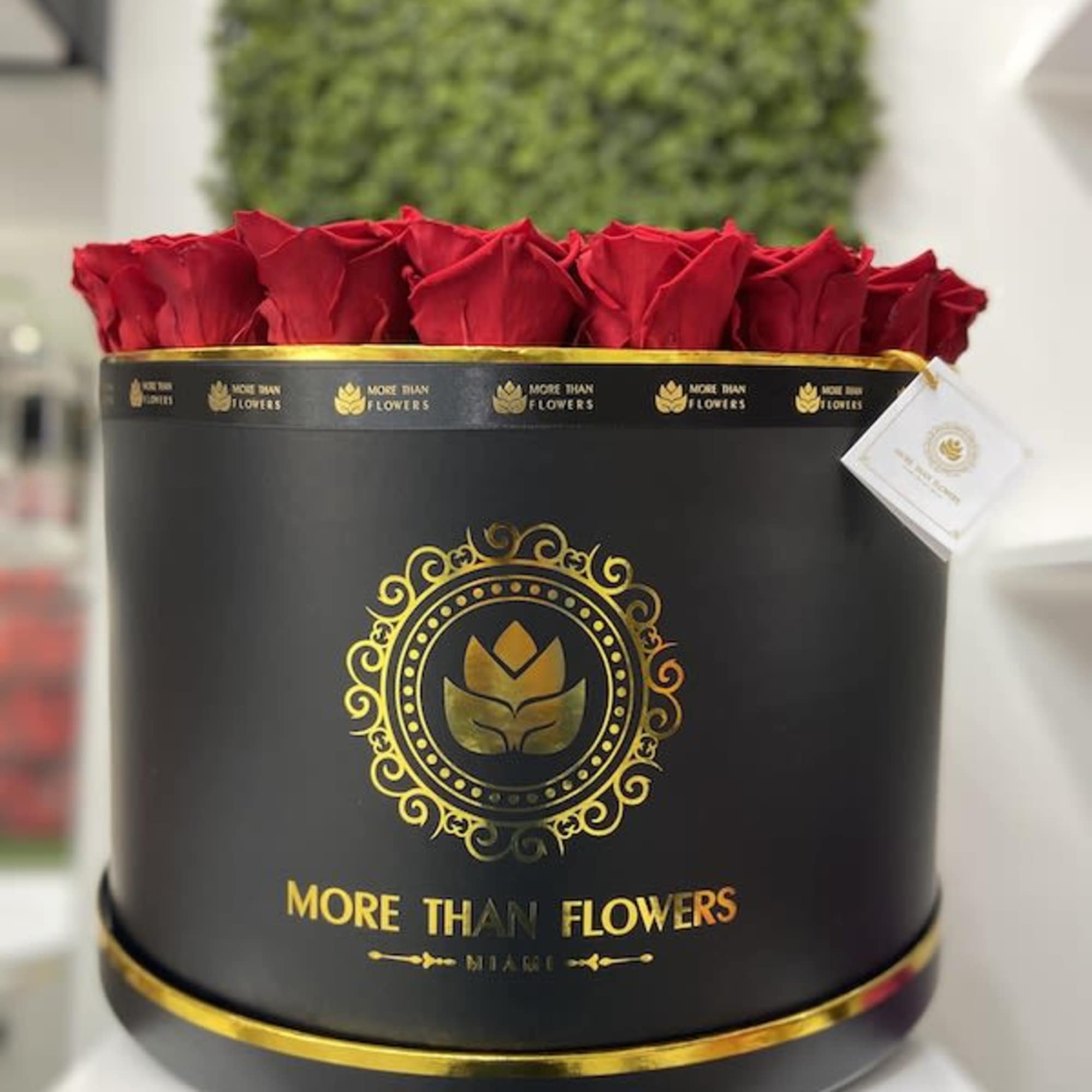 Magna Round Box Eternal Roses: We stopped the clock for our preserved