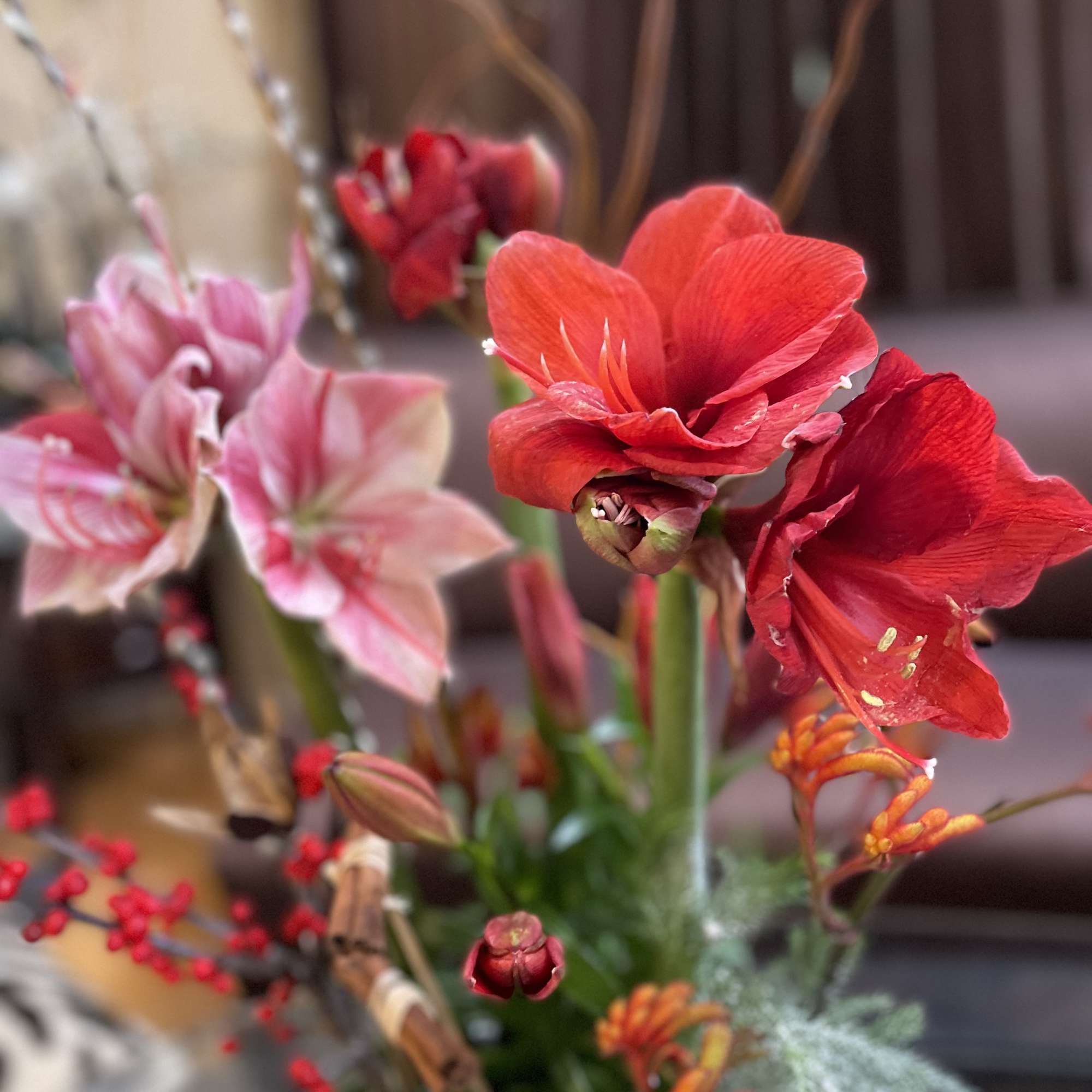 It&rsquo;s a special day and without flowers and a cake , it&rsquo;s