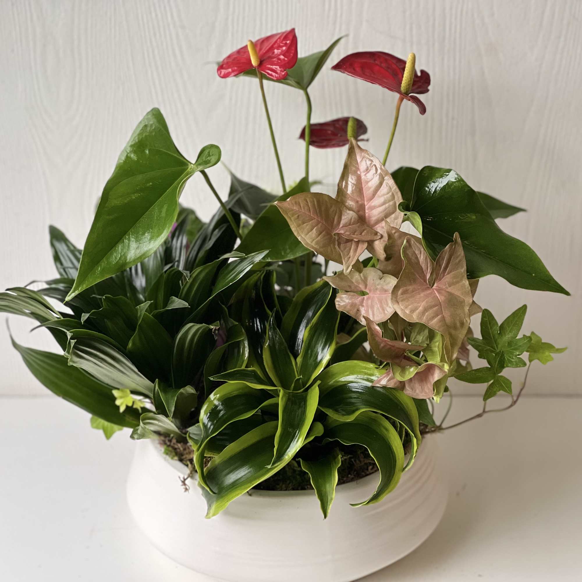 This versatile planter of potted green plants adds beauty, life and fresh