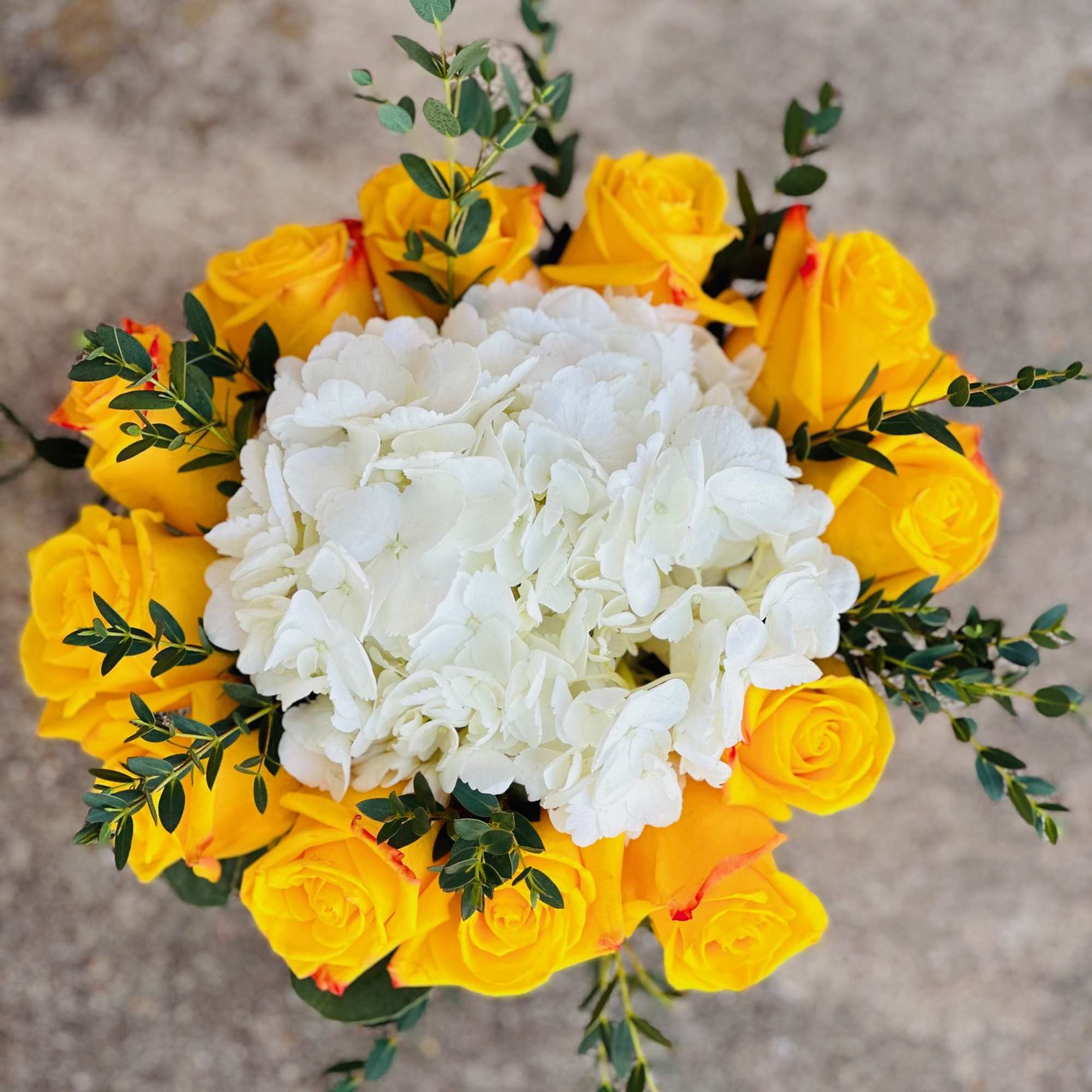 Twelve gorgeous roses encircle a white hydrangea, all presented in a patterned Twelve gorgeous roses encircle a white hydrangea, all presented in a patterned