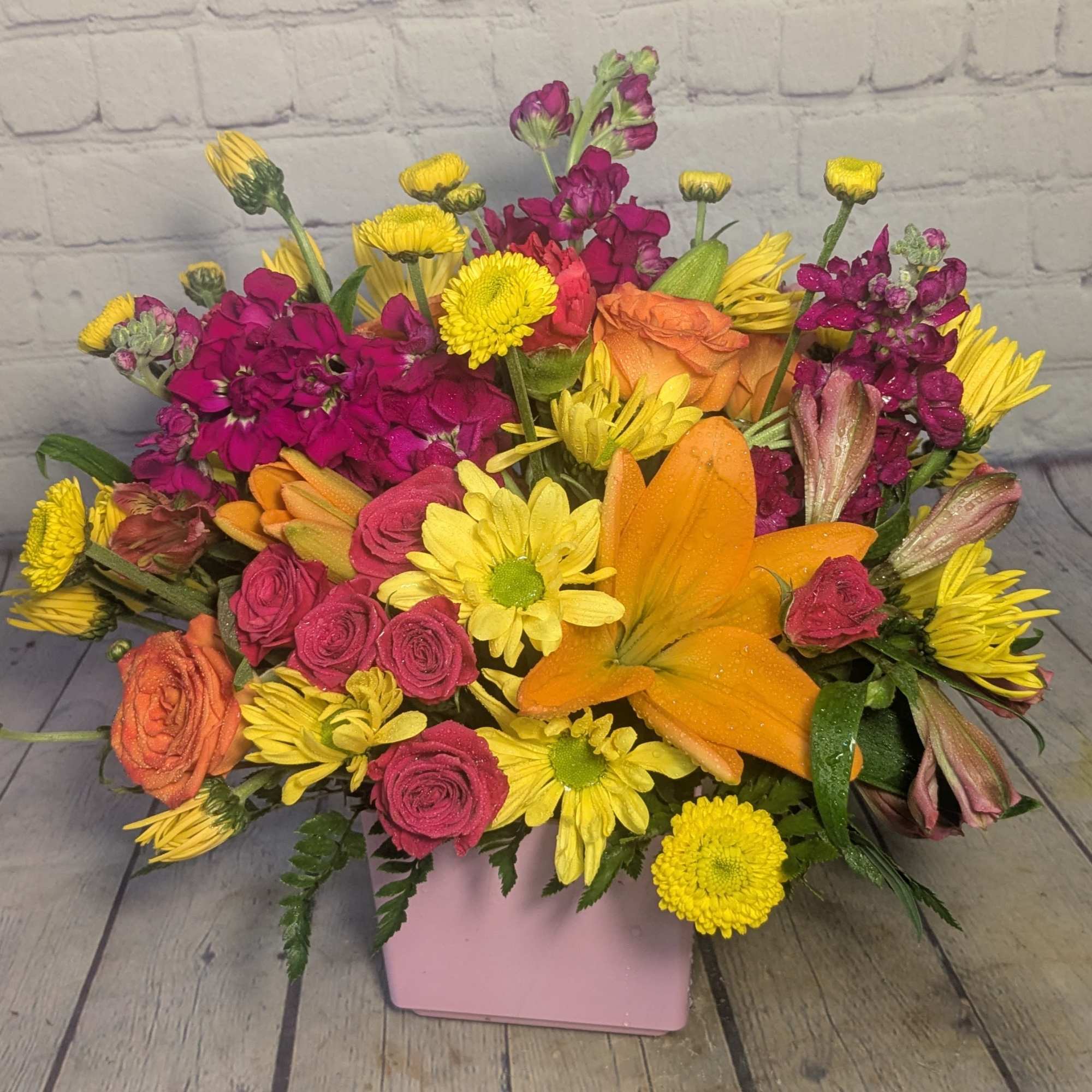 専用　　flowerbond varnharness Verbena - EnduraScape Purple Fizz - Sugar Creek Gardens