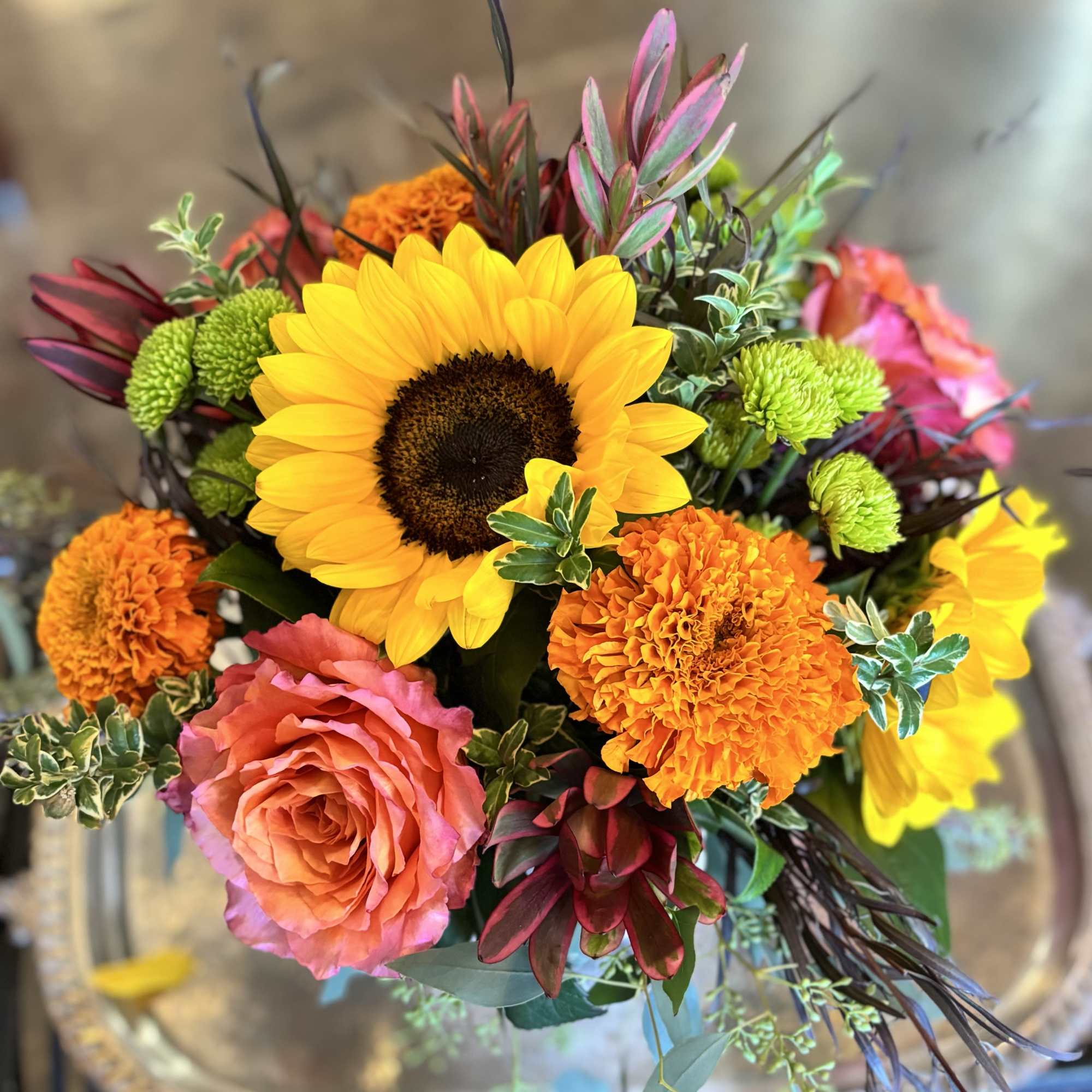 The September Equinox is the beginning of the fall season. The leaves