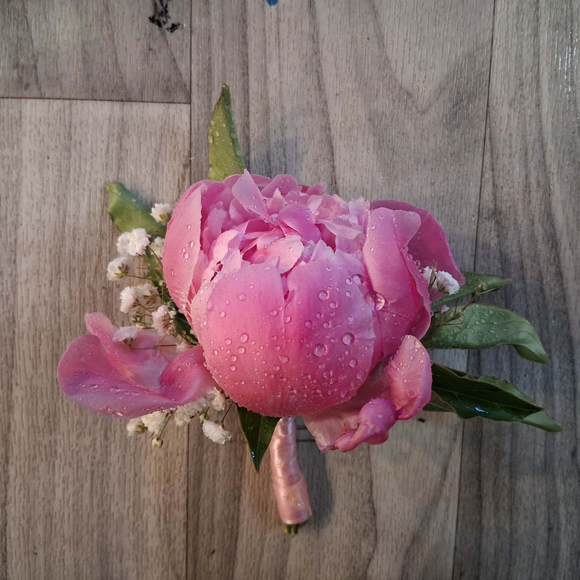 Beautiful pink peony &quot;Sarah Bernhardt&quot; boutonniere with touch of baby&#039;s breath and