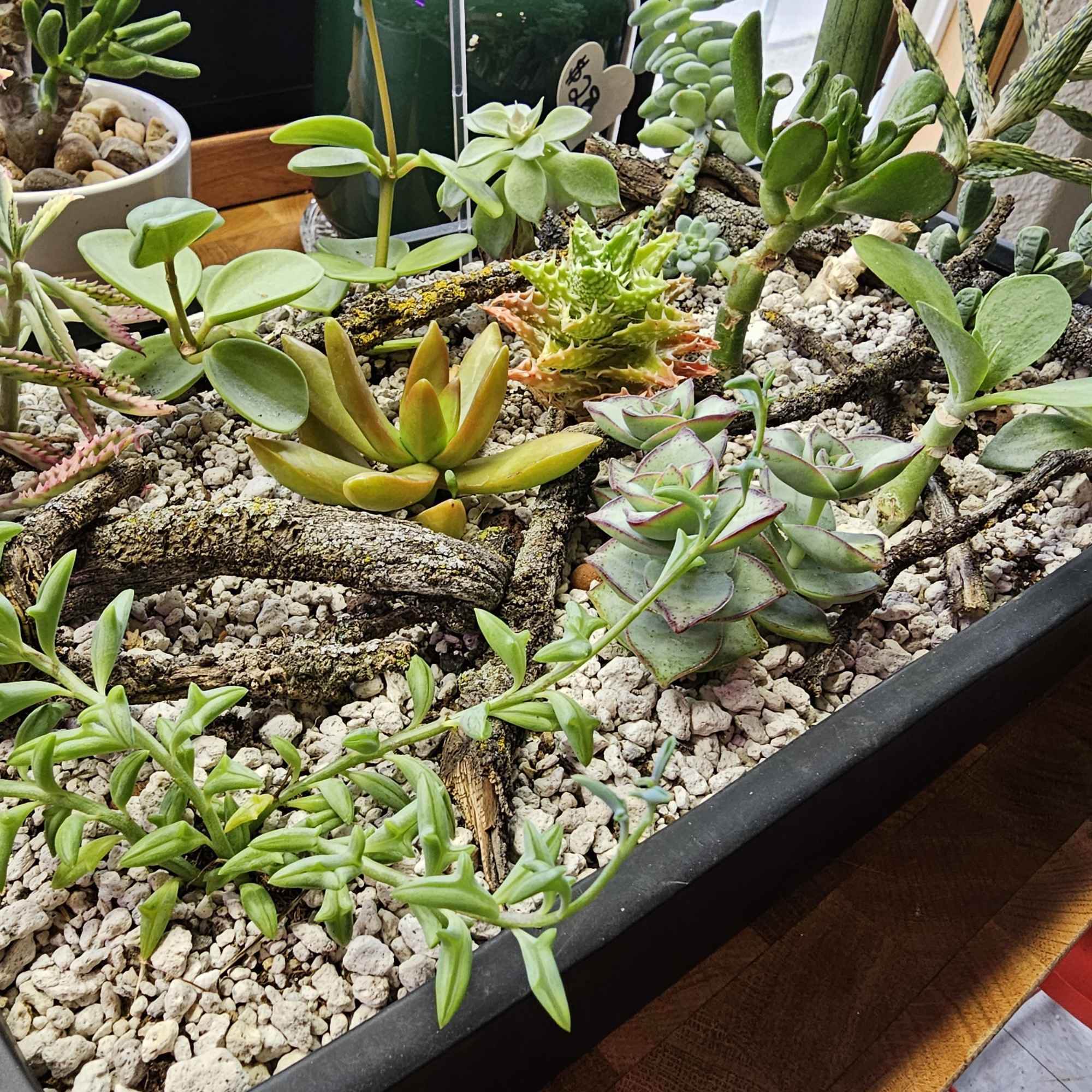 This meticulously planted garden was designed for ease of care. And is