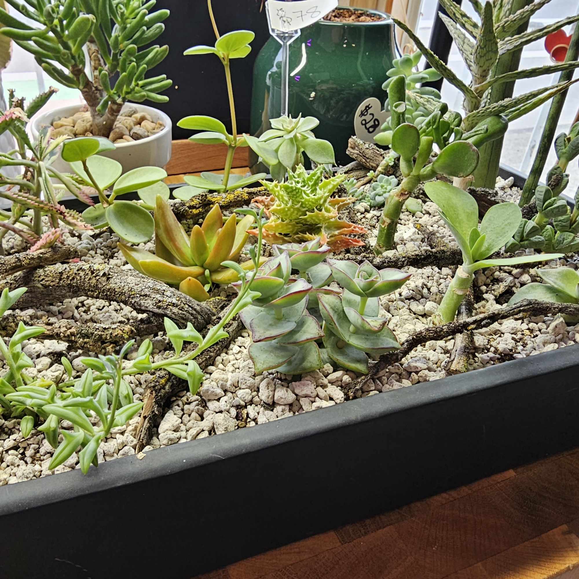 This meticulously planted garden was designed for ease of care. And is