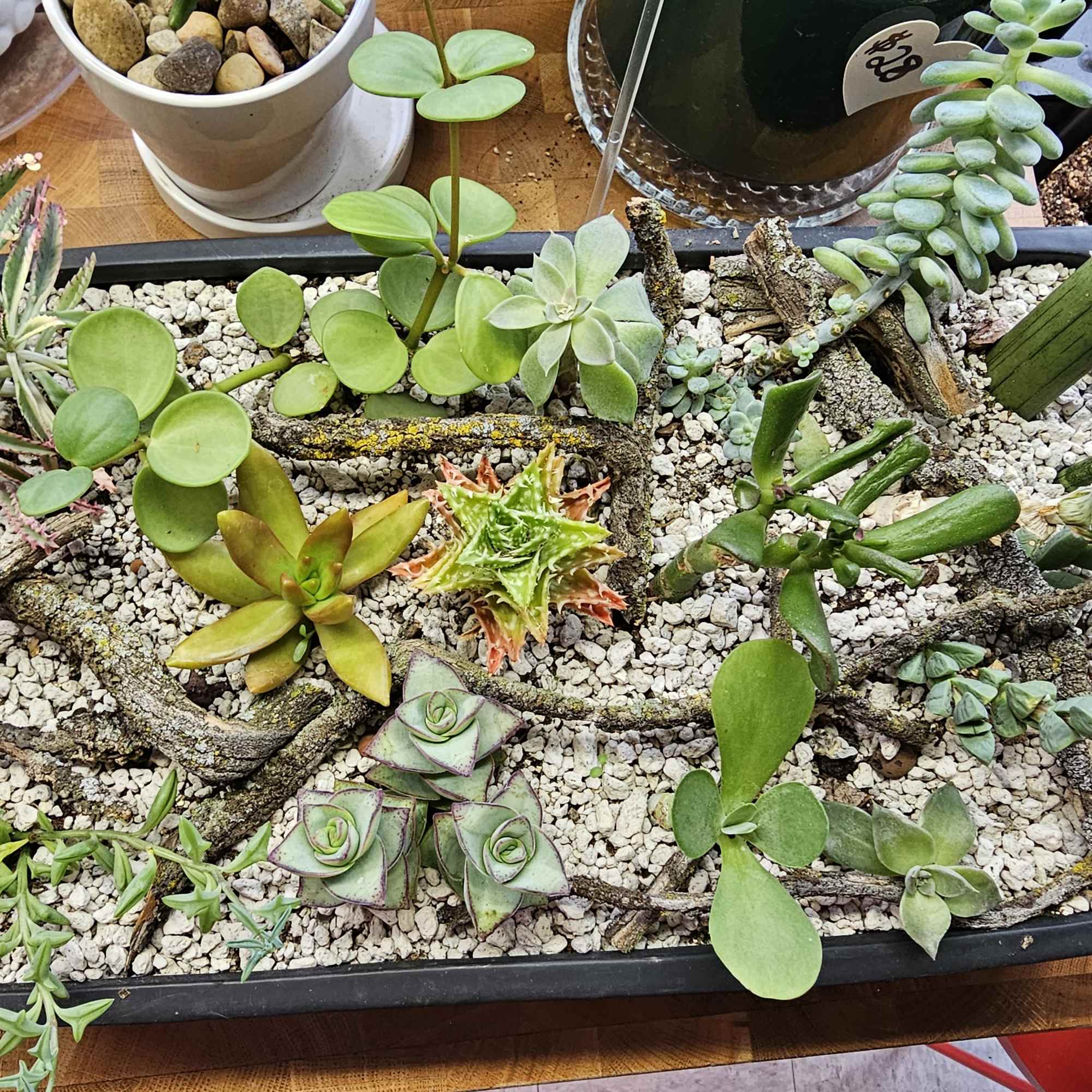 This meticulously planted garden was designed for ease of care. And is