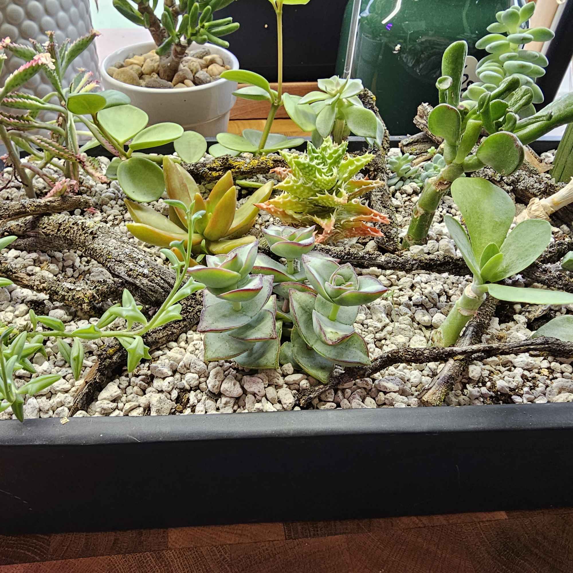 This meticulously planted garden was designed for ease of care. And is