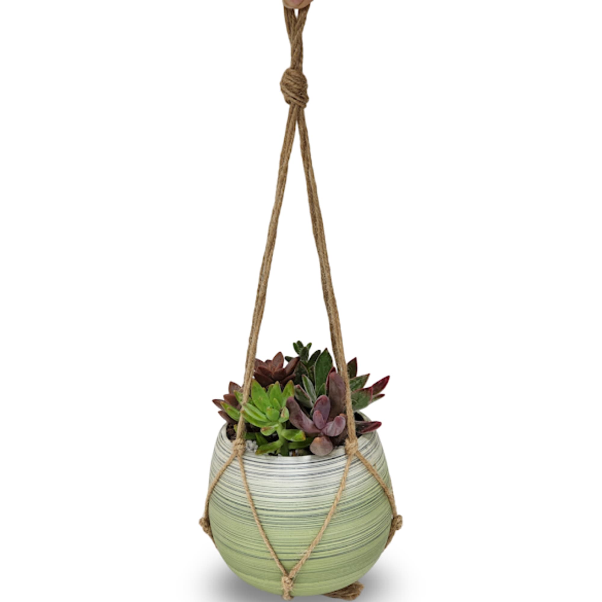 Select this unique hanging succulent planter. 