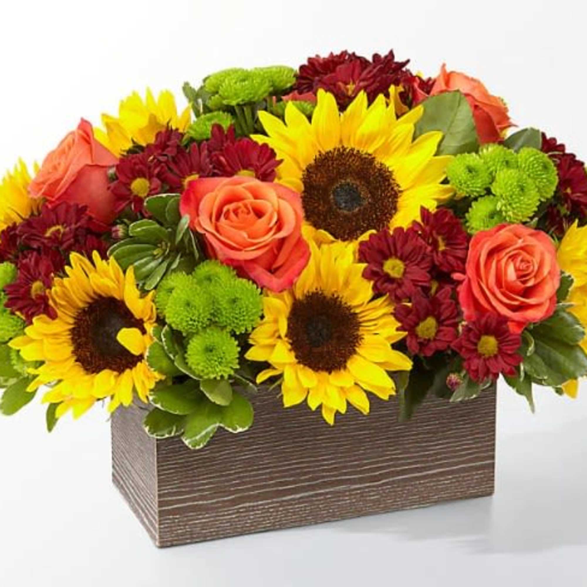 Delight your friends and family with an assortment of bright Autumn colors