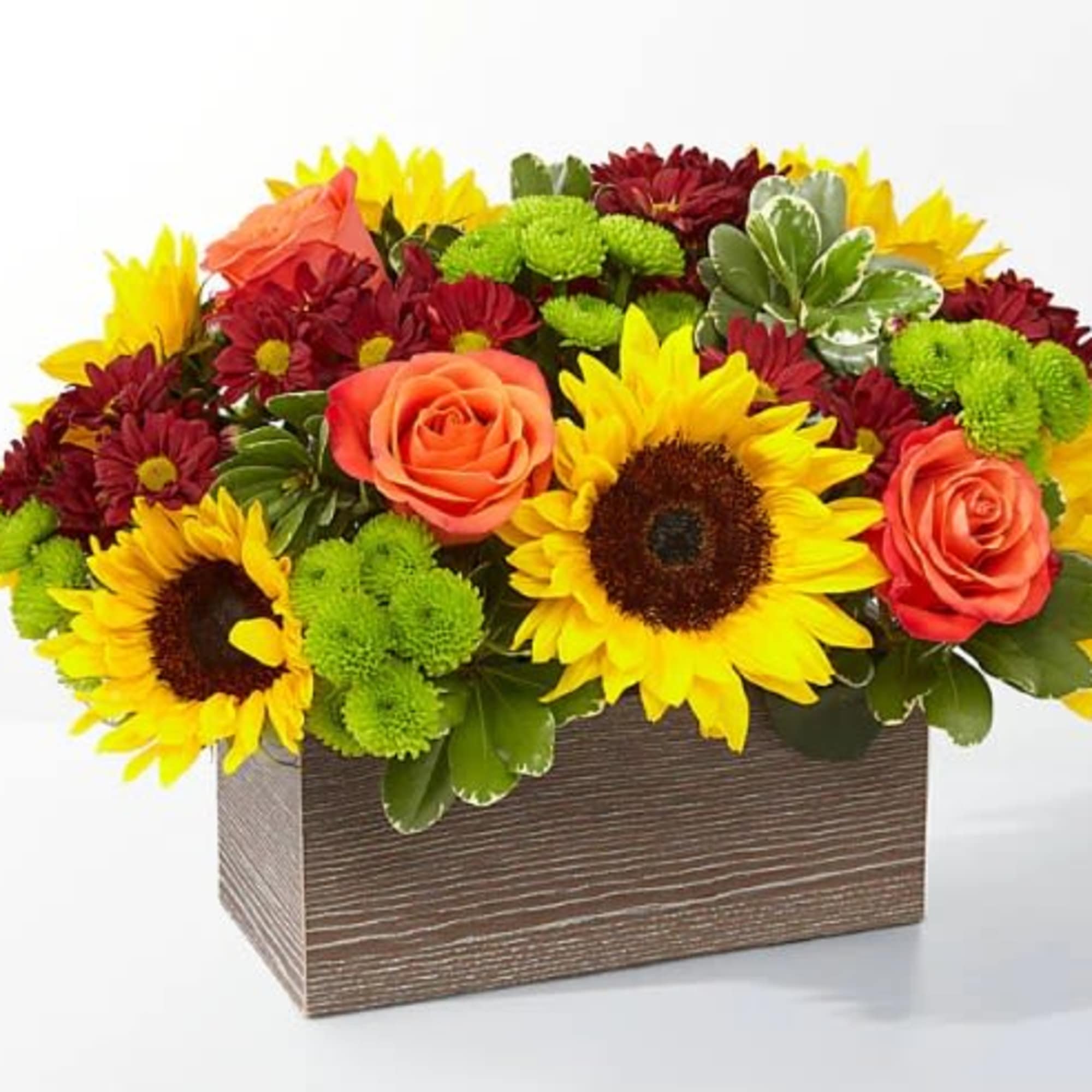 Delight your friends and family with an assortment of bright Autumn colors