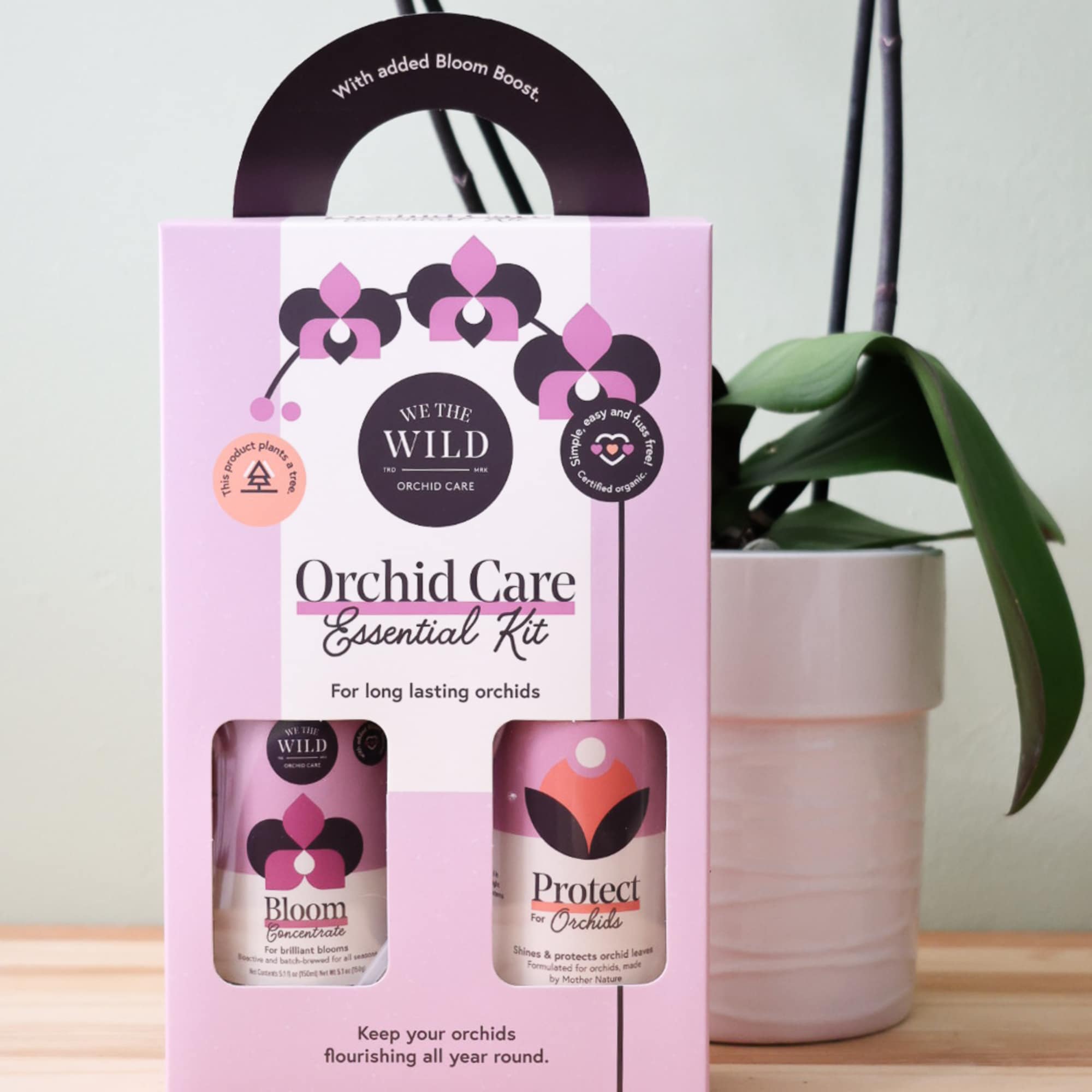 A beautiful double orchid in a ceramic container paired with a We A beautiful double orchid in a ceramic container paired with a We