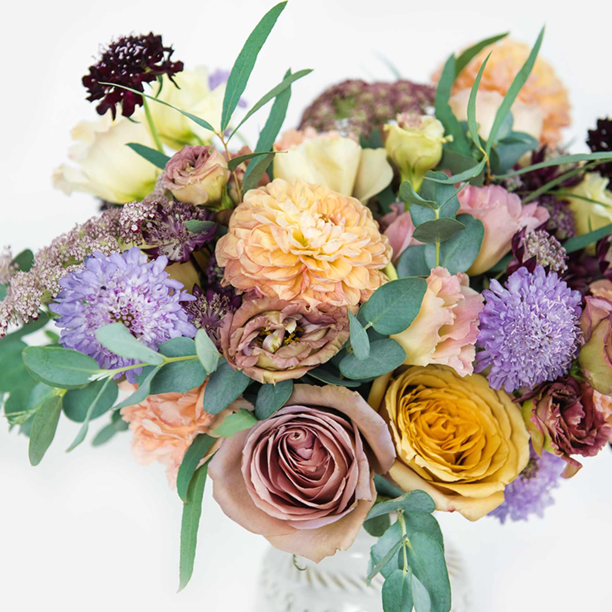 Missing the warm weather, blooming trees, and sunshine? Fall into spring with