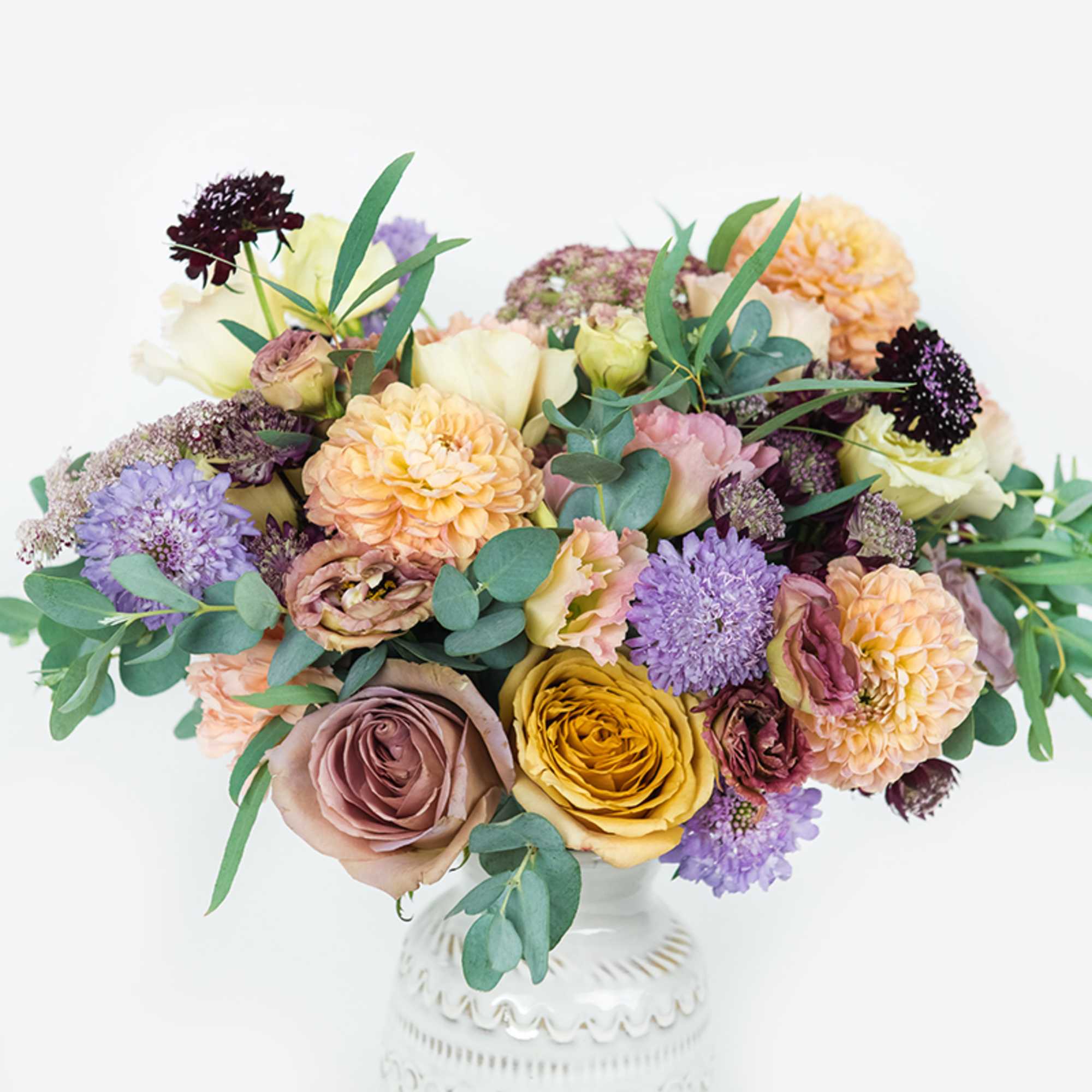 Missing the warm weather, blooming trees, and sunshine? Fall into spring with