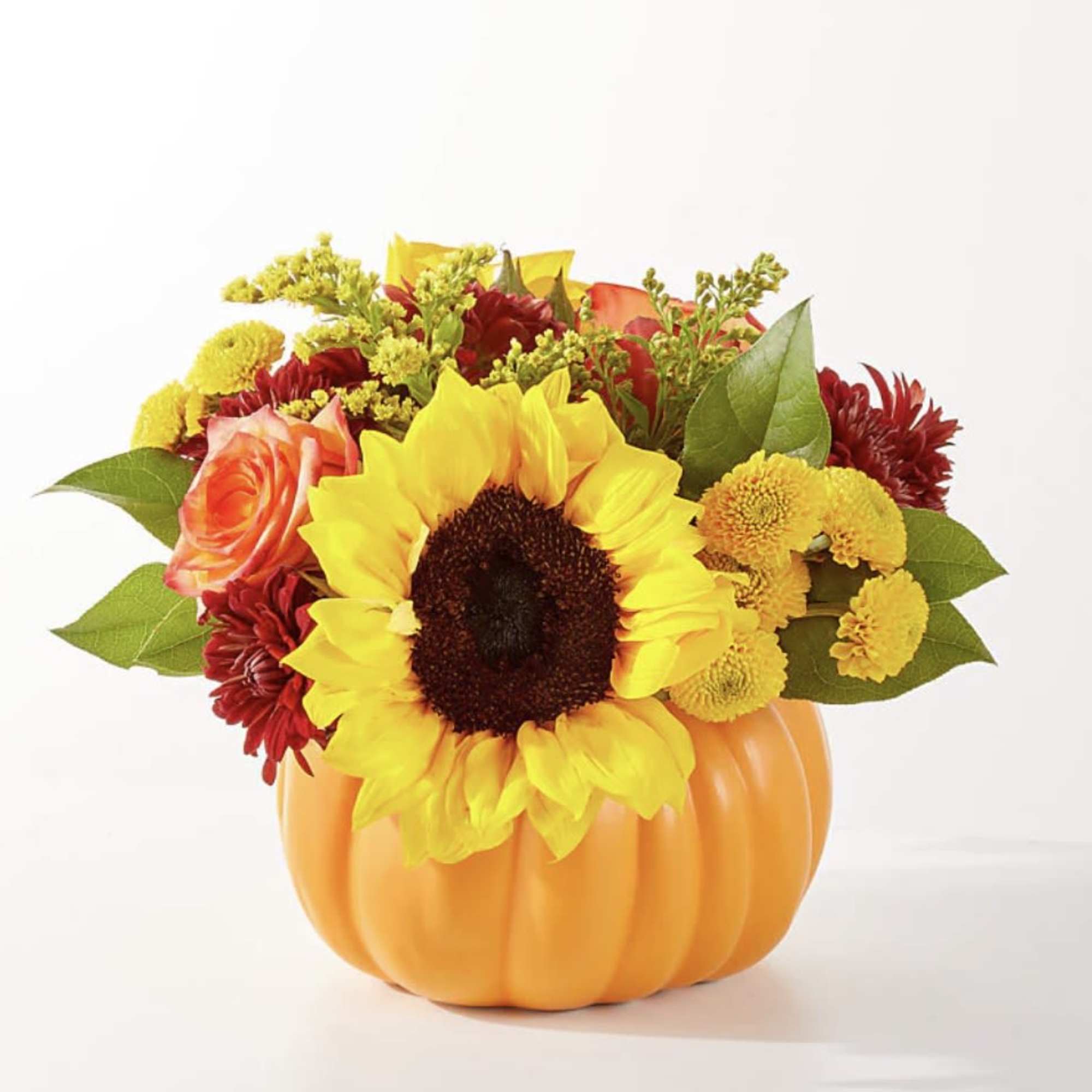 No need to go to the pumpkin patch this year with this