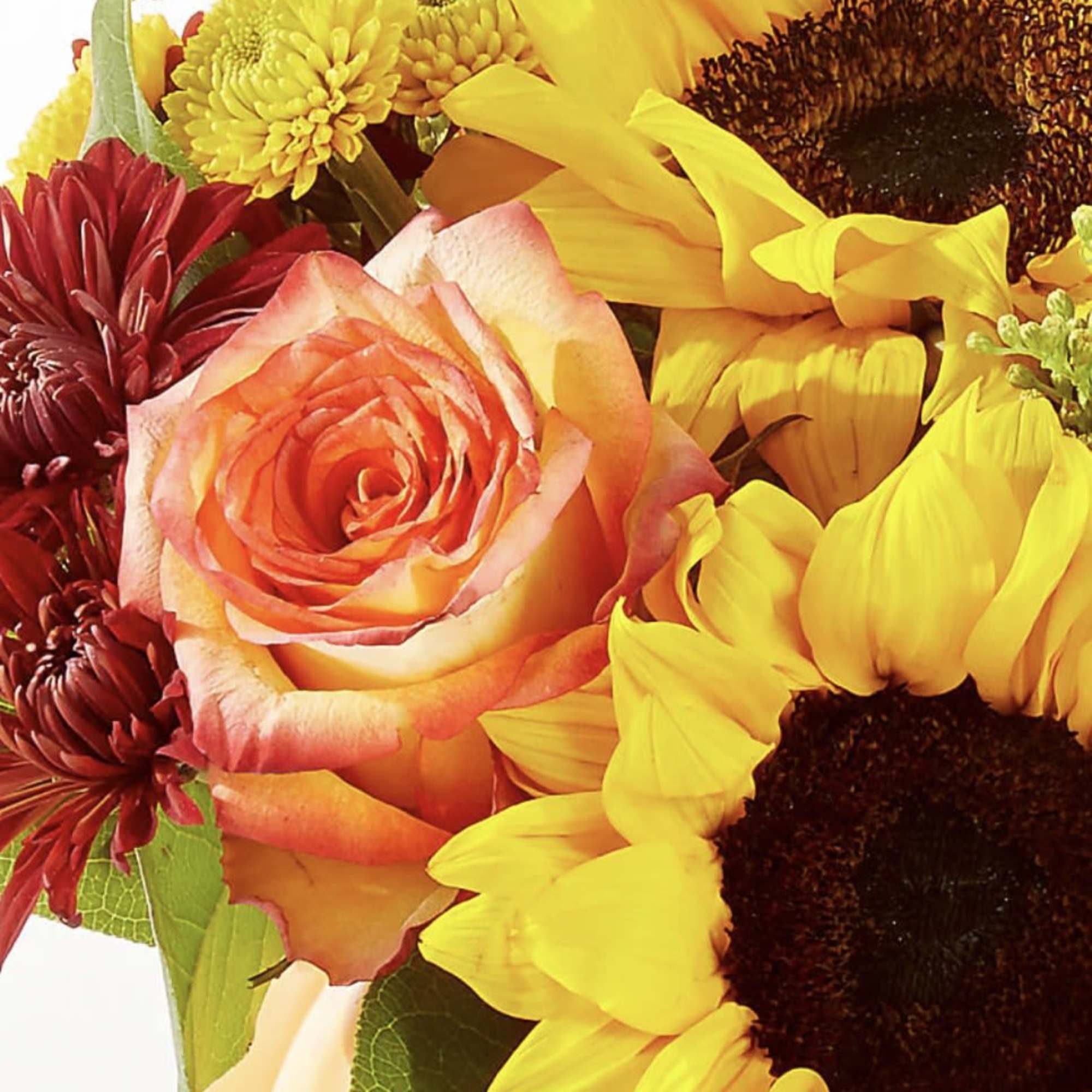 No need to go to the pumpkin patch this year with this