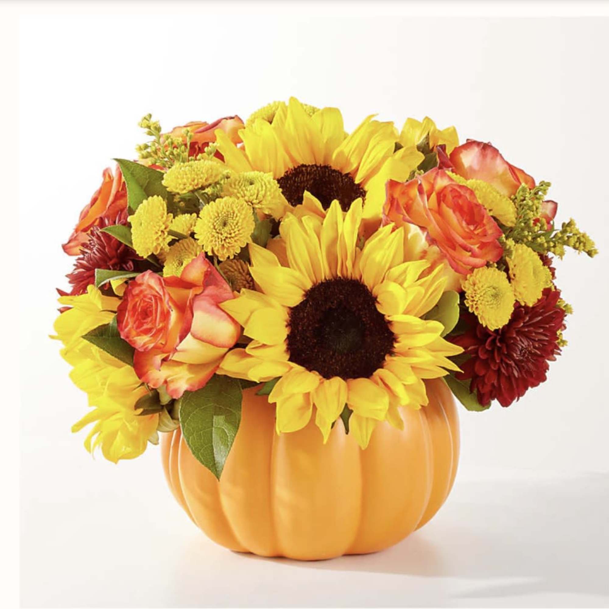 No need to go to the pumpkin patch this year with this