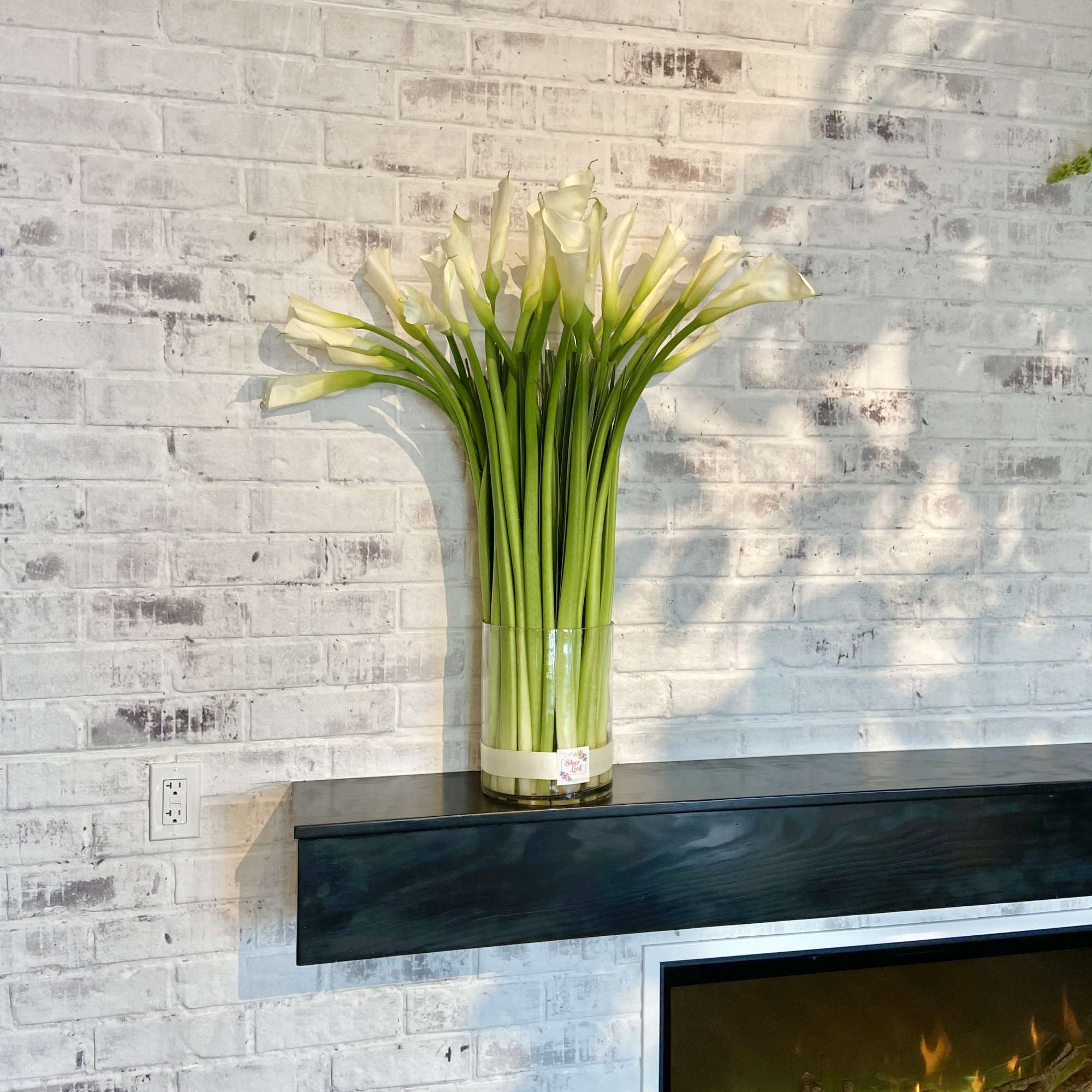 Monochromatic floral with all white Calla Lily&#039;s in glass vase . Simple