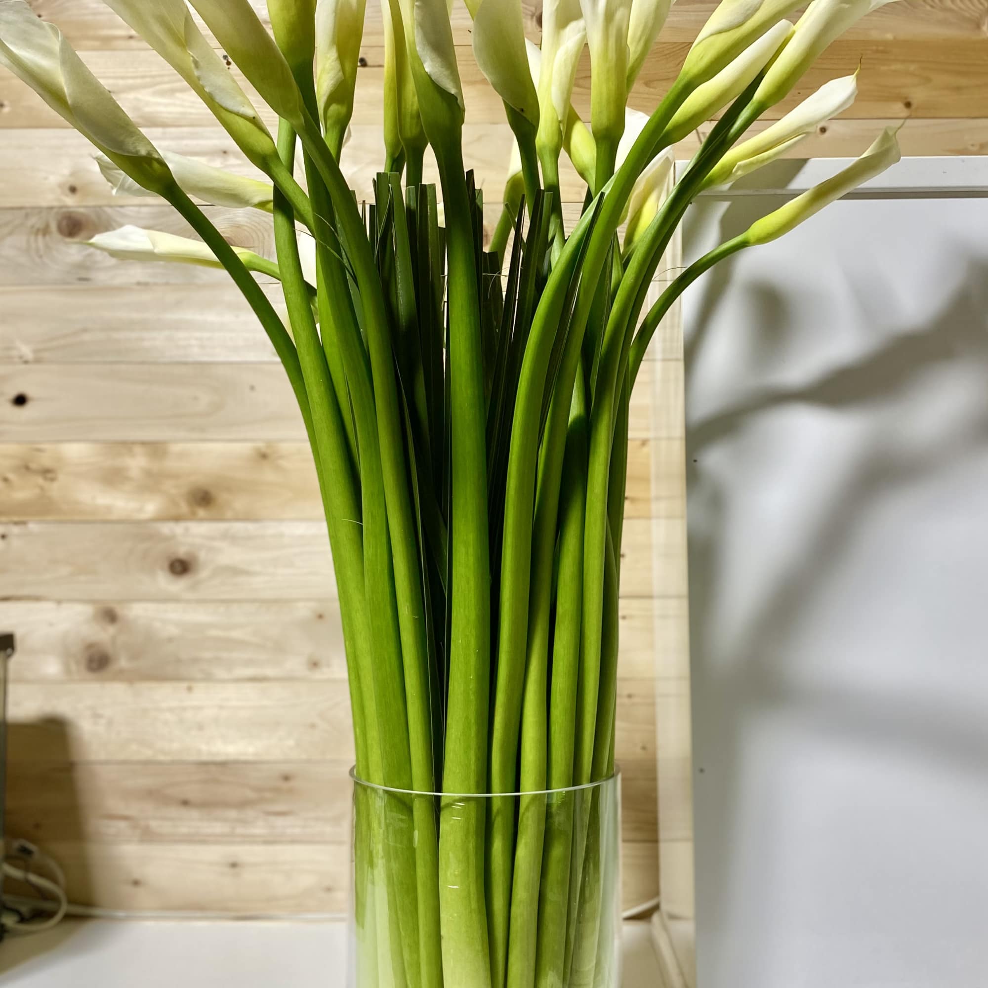 Monochromatic floral with all white Calla Lily&#039;s in glass vase . Simple