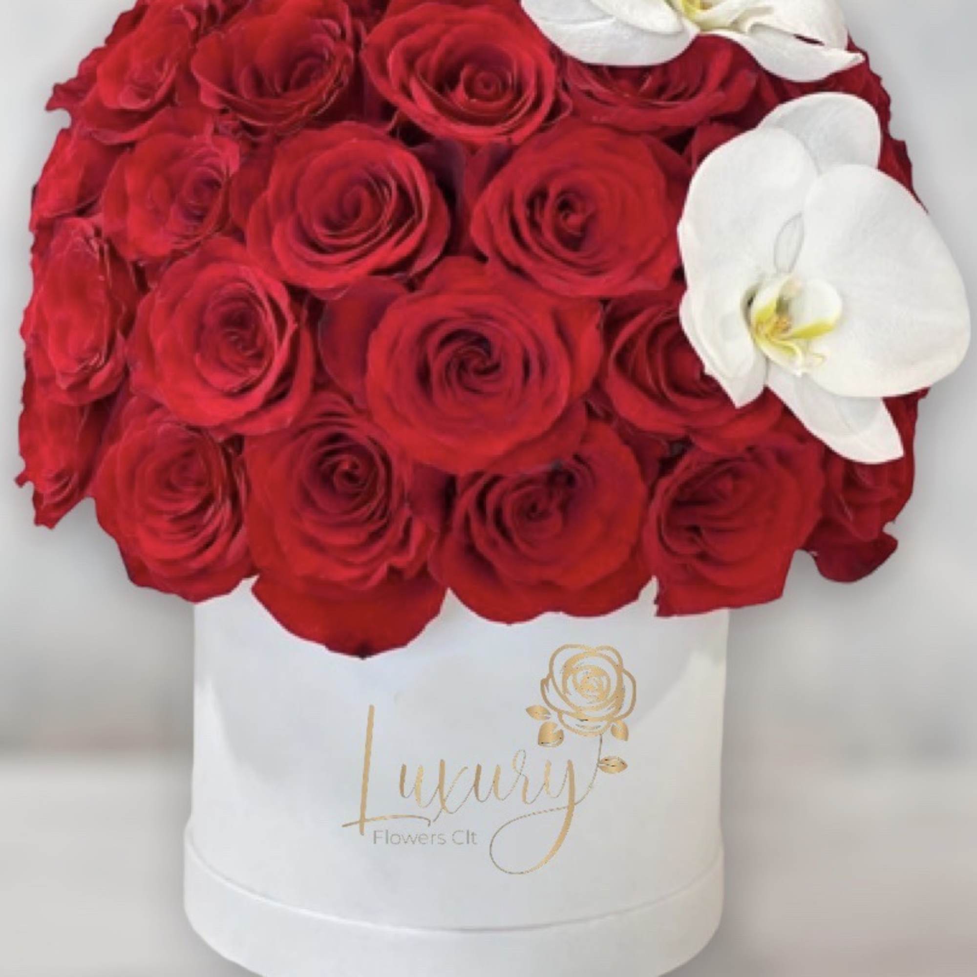 &quot;PLACE YOUR ORDER AT LEAST 2 DAYS PRIOR TO THE DELIVERY DATE&rdquo;

Our