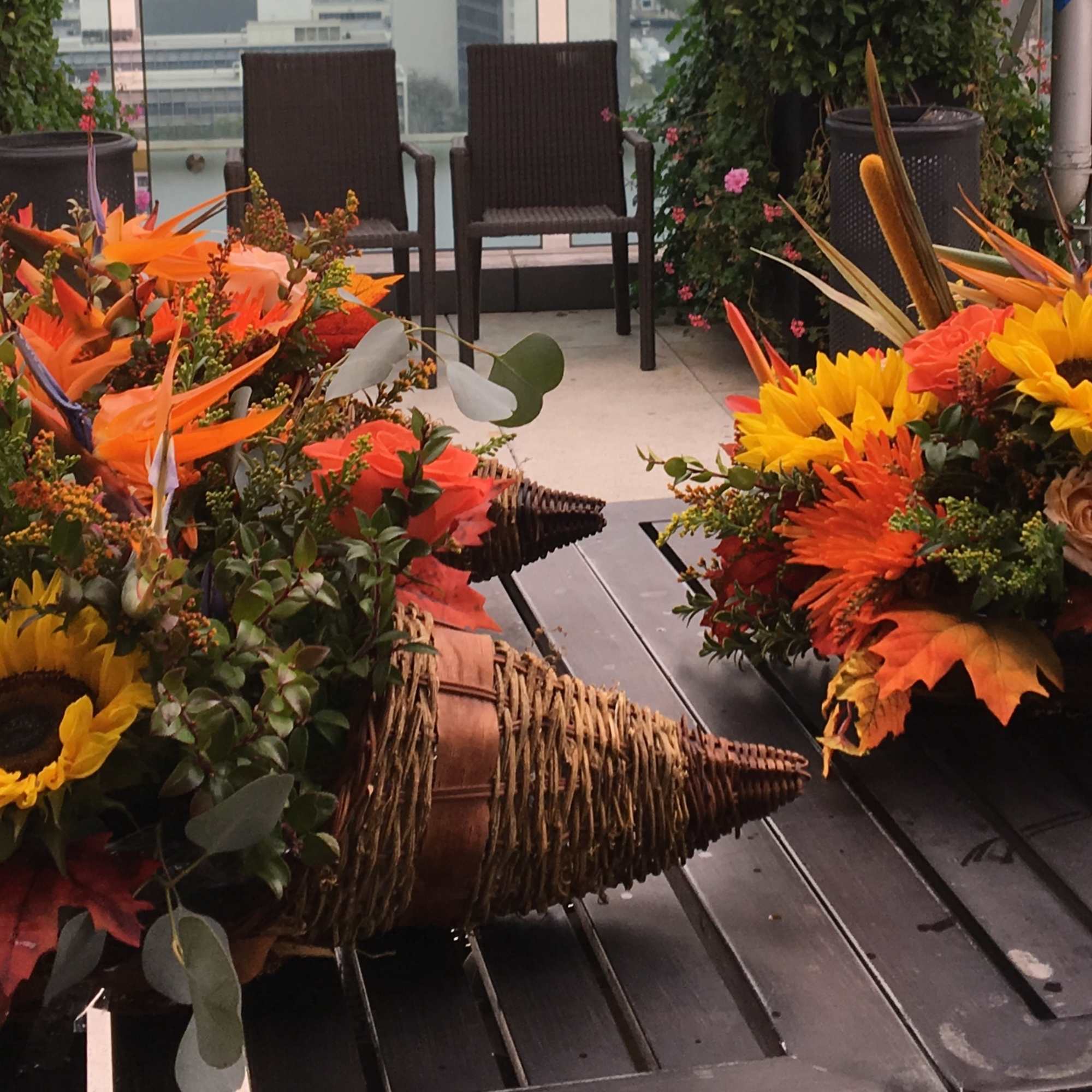 This breathtaking array of fall colors and textures is enough to take