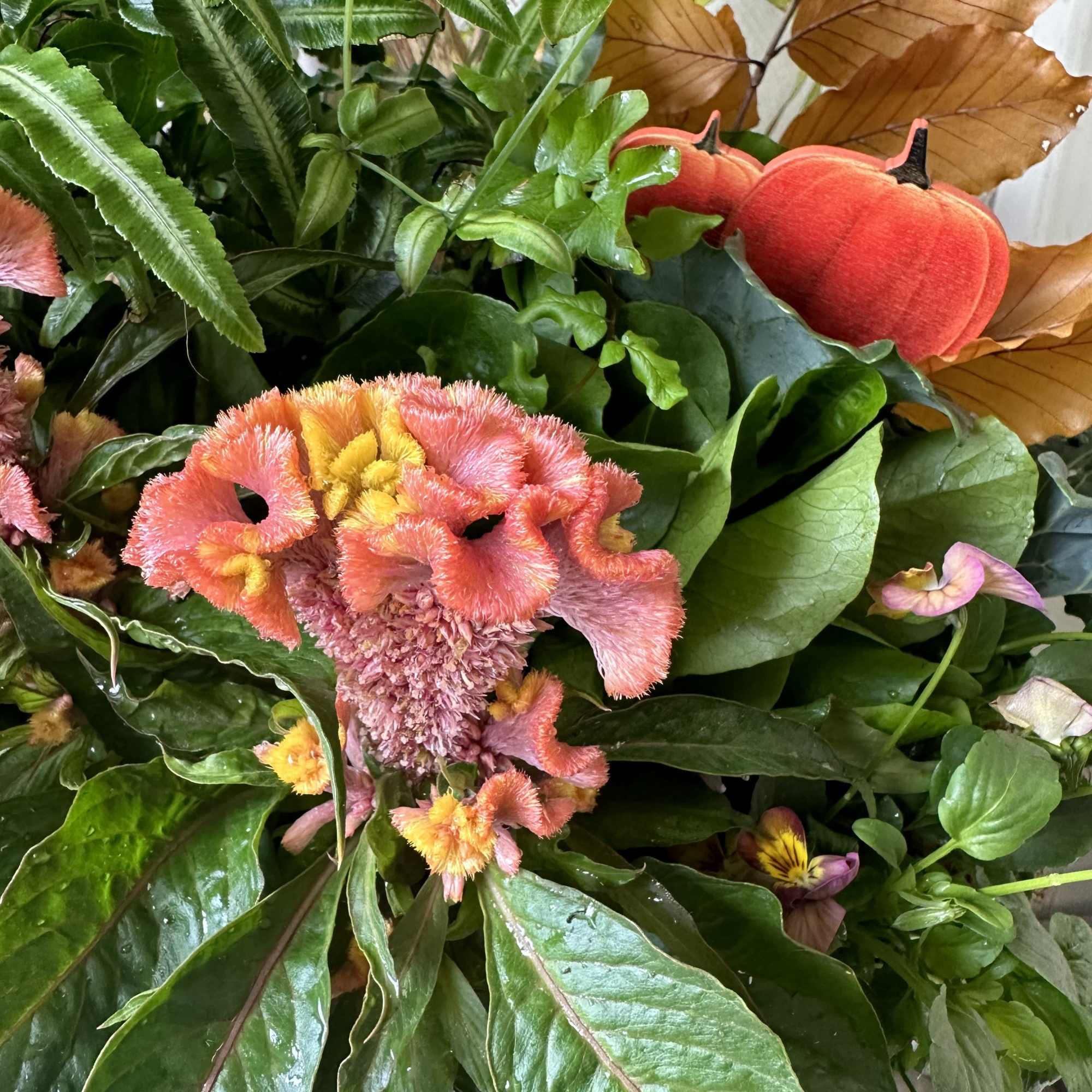 Inspired by Fall! Trust In the Garden to design with our highest