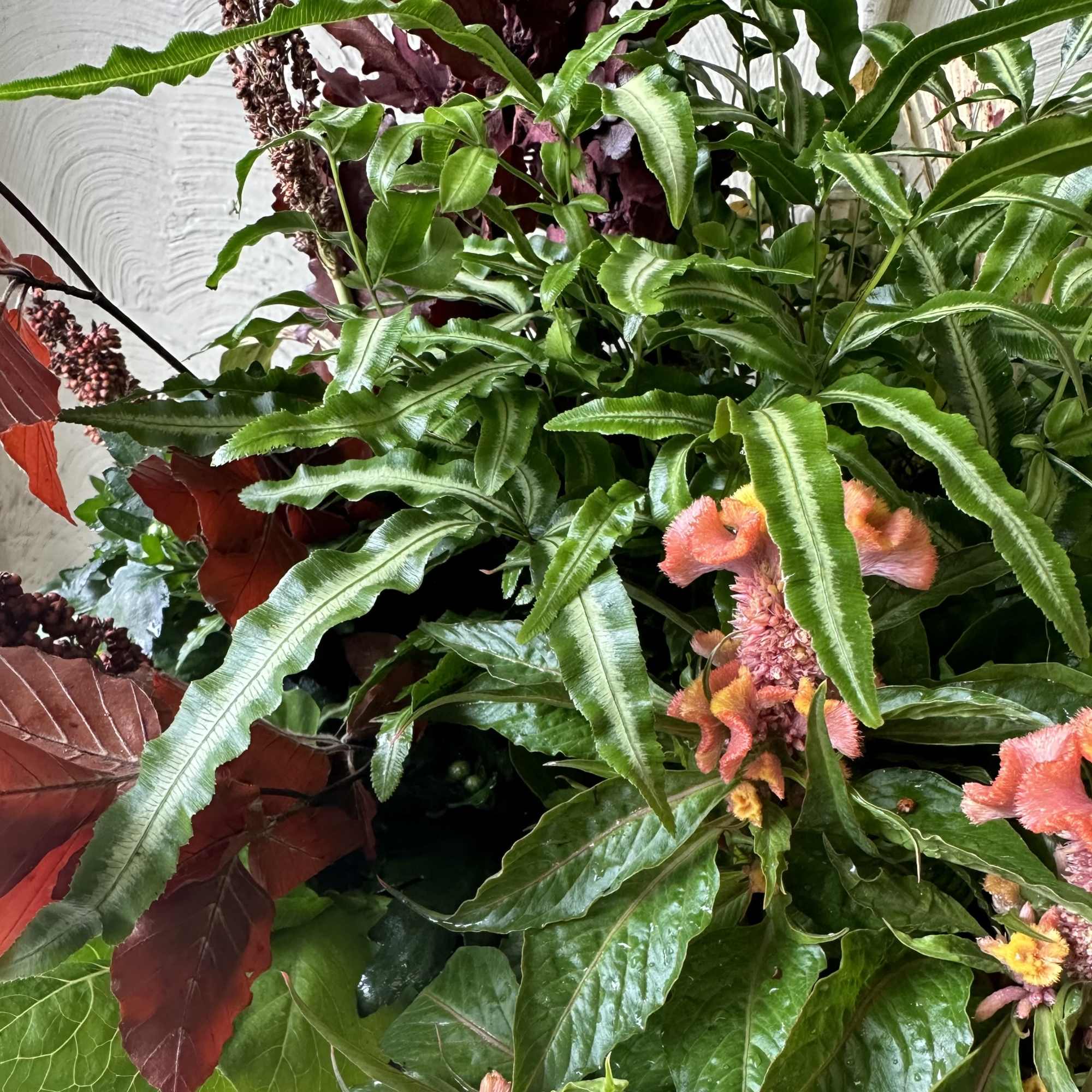 Inspired by Fall! Trust In the Garden to design with our highest