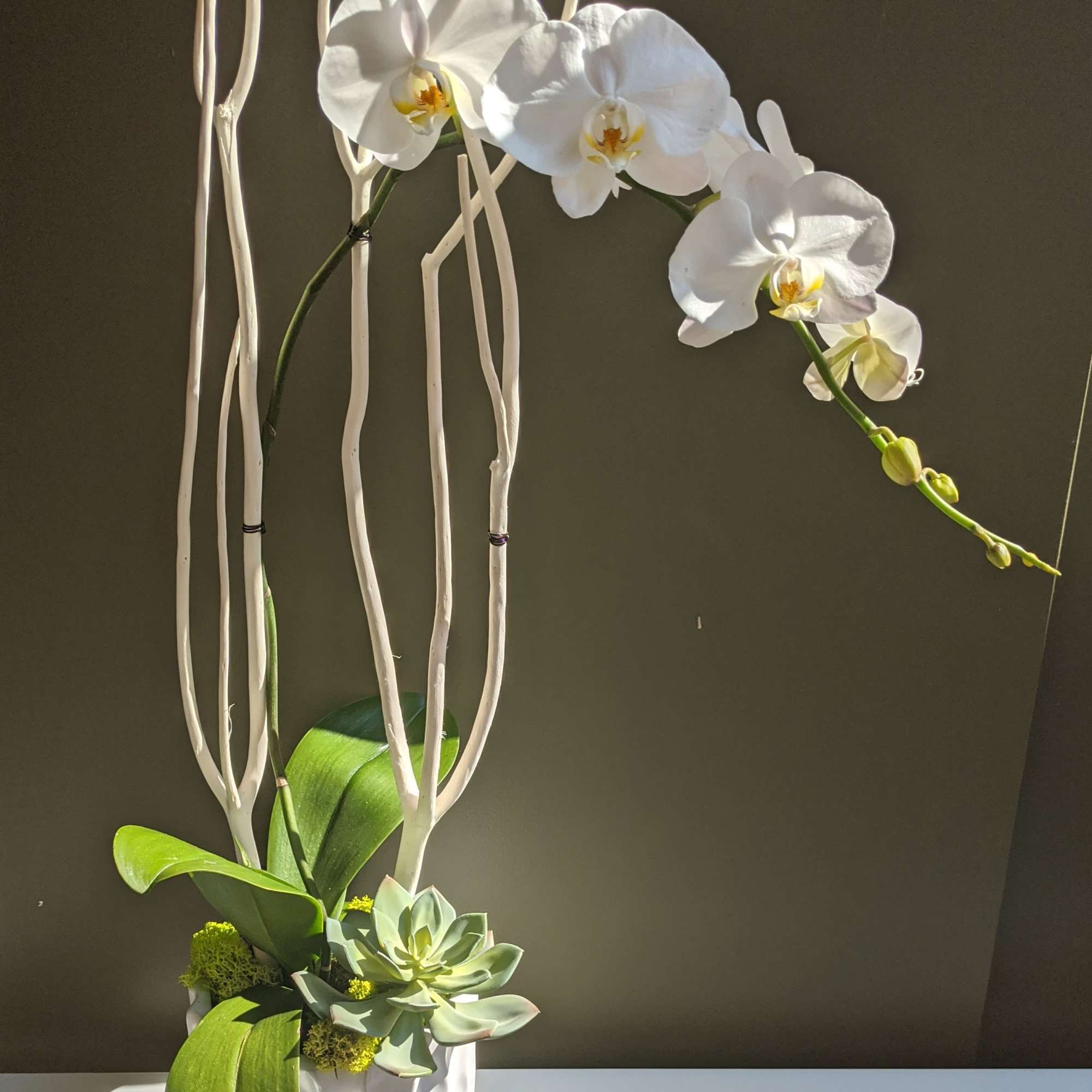 An exquisite white phalaenopsis orchid paired with bleached 
matsumoto branches and green