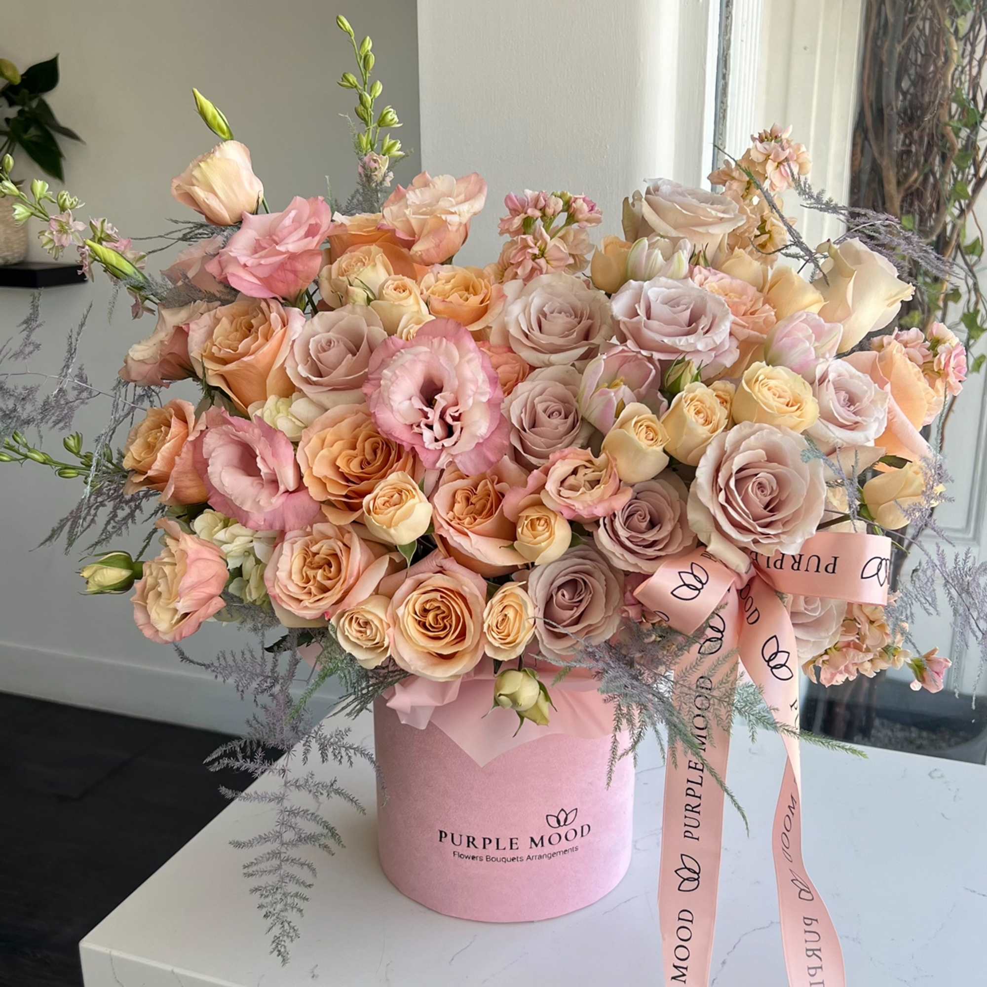 Standard - Container size D6.75'x H7.5'
Deluxe - Container size D8.25'x H9.5'
The Charming Standard - Container size D6.75'x H7.5'
Deluxe - Container size D8.25'x H9.5'
The Charming