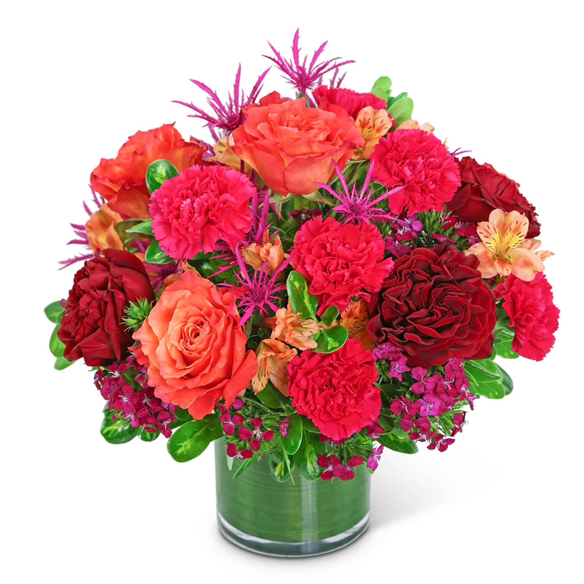 Add bold color to your life with our Mango Luxe design. Our Add bold color to your life with our Mango Luxe design. Our