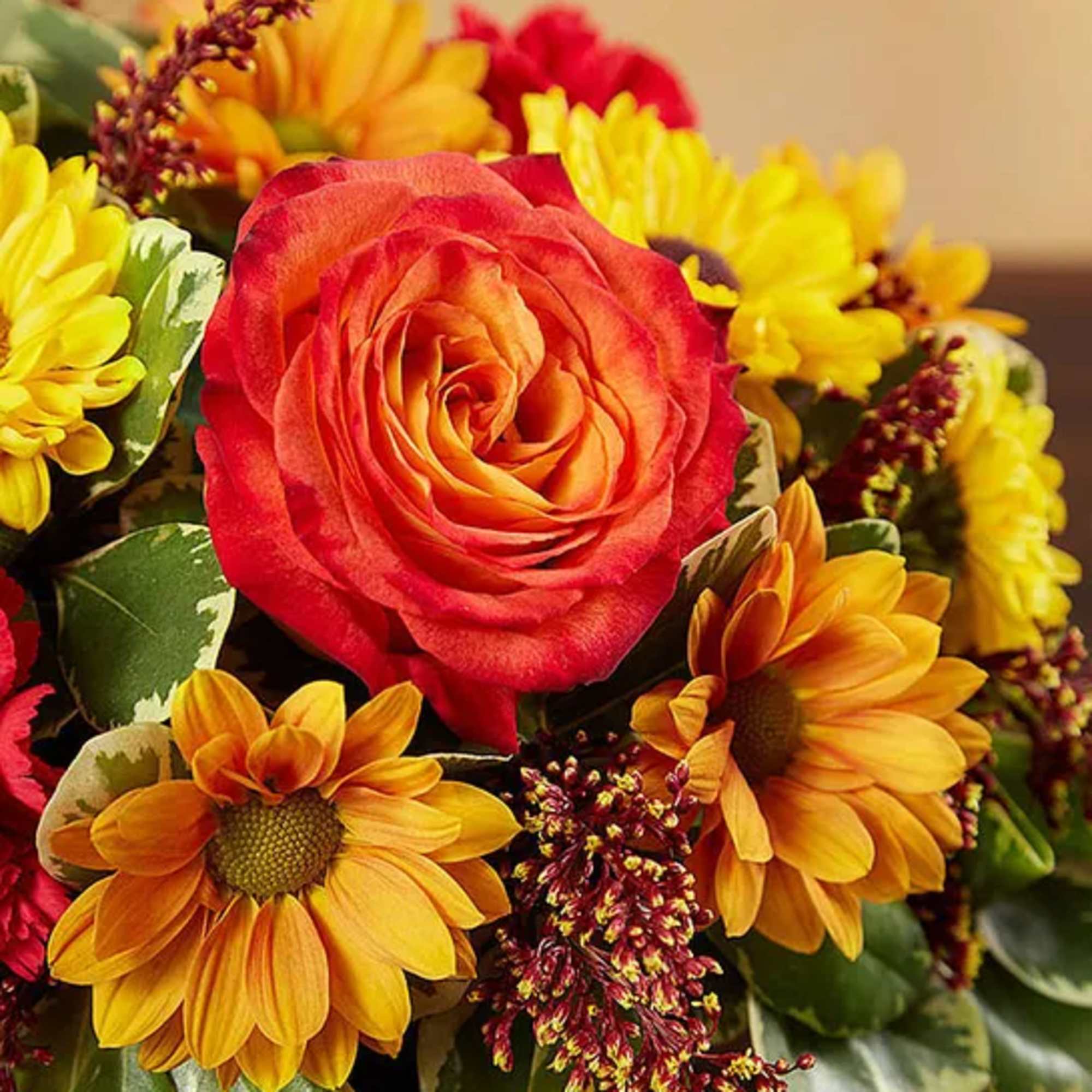  Send your warmest wishes to the people you love with our