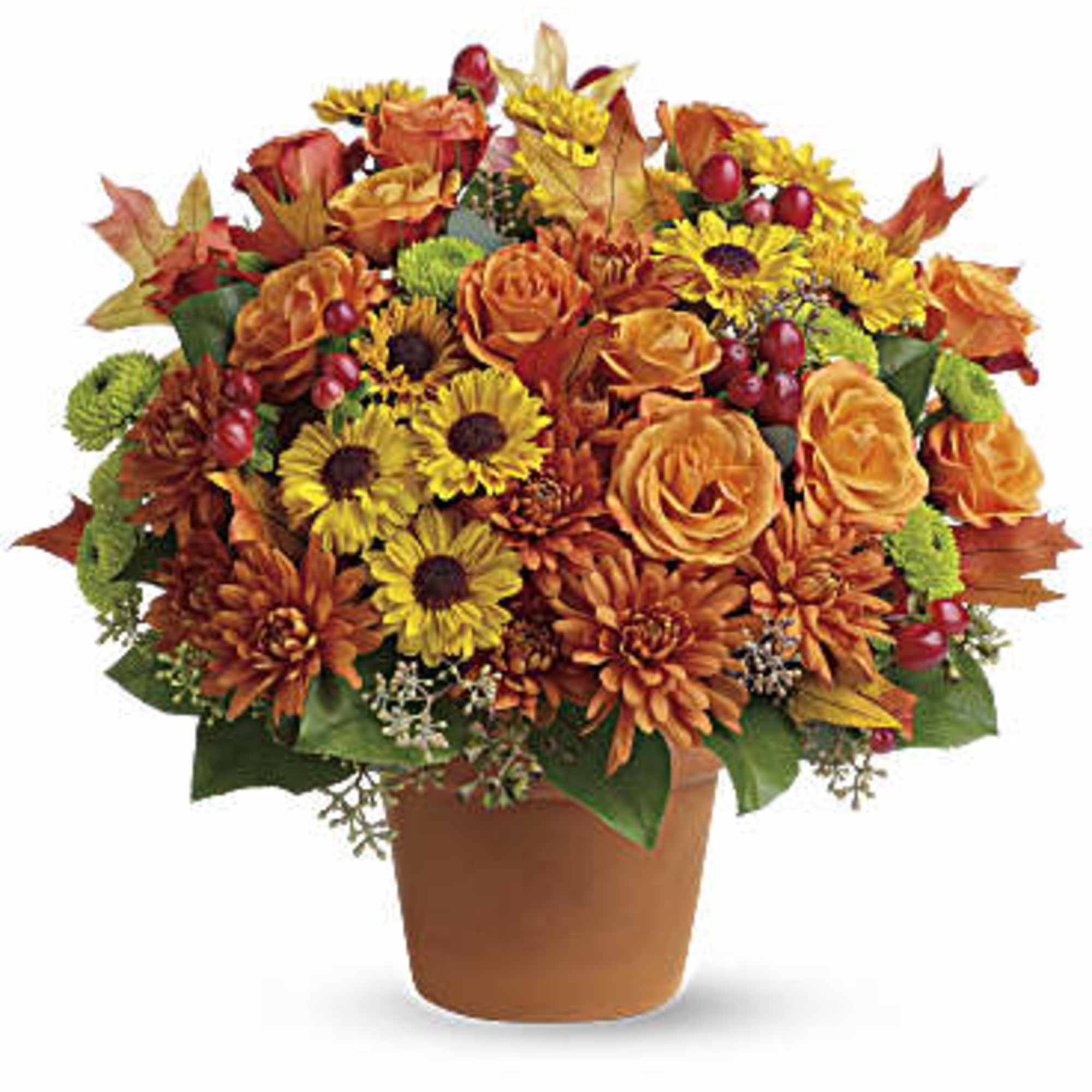Chrysanthemums in autumnal colors of yellow, bronze and green - set off
