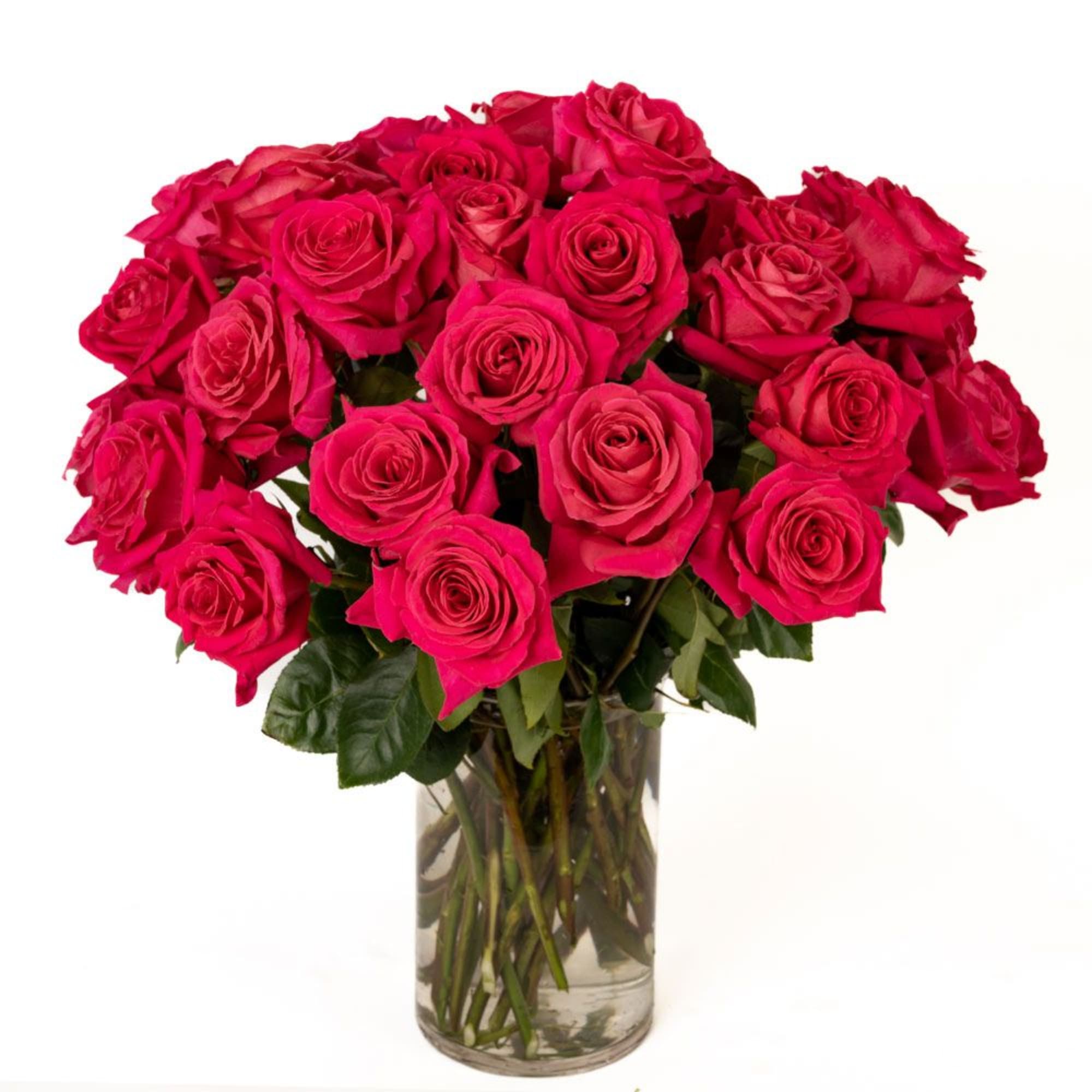 Our classic 4 dozen hot pink roses are designed with long-stem 70 Our classic 4 dozen hot pink roses are designed with long-stem 70