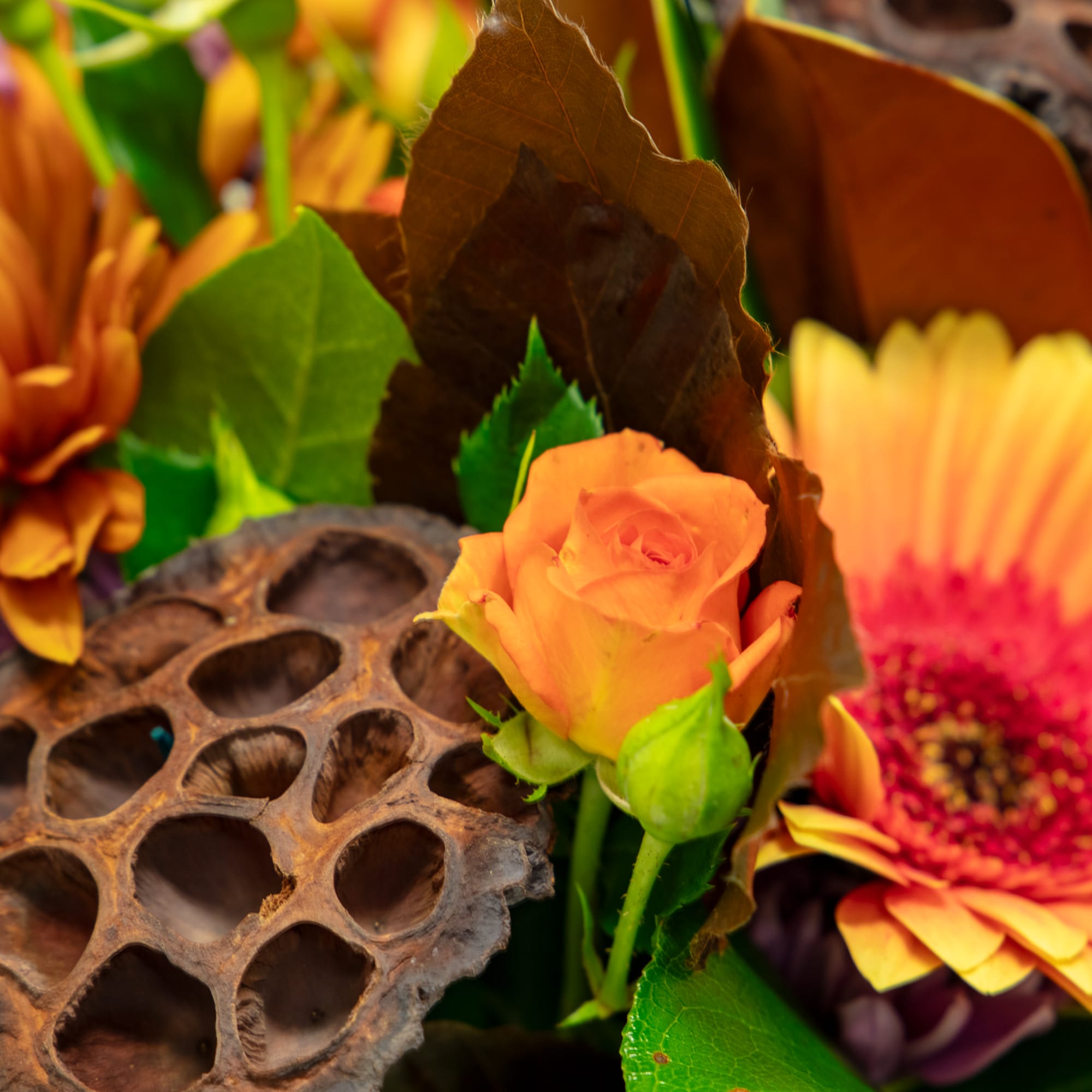 Elevate your autumn decor with &quot;Auburn Lotus,&quot; a captivating floral arrangement that