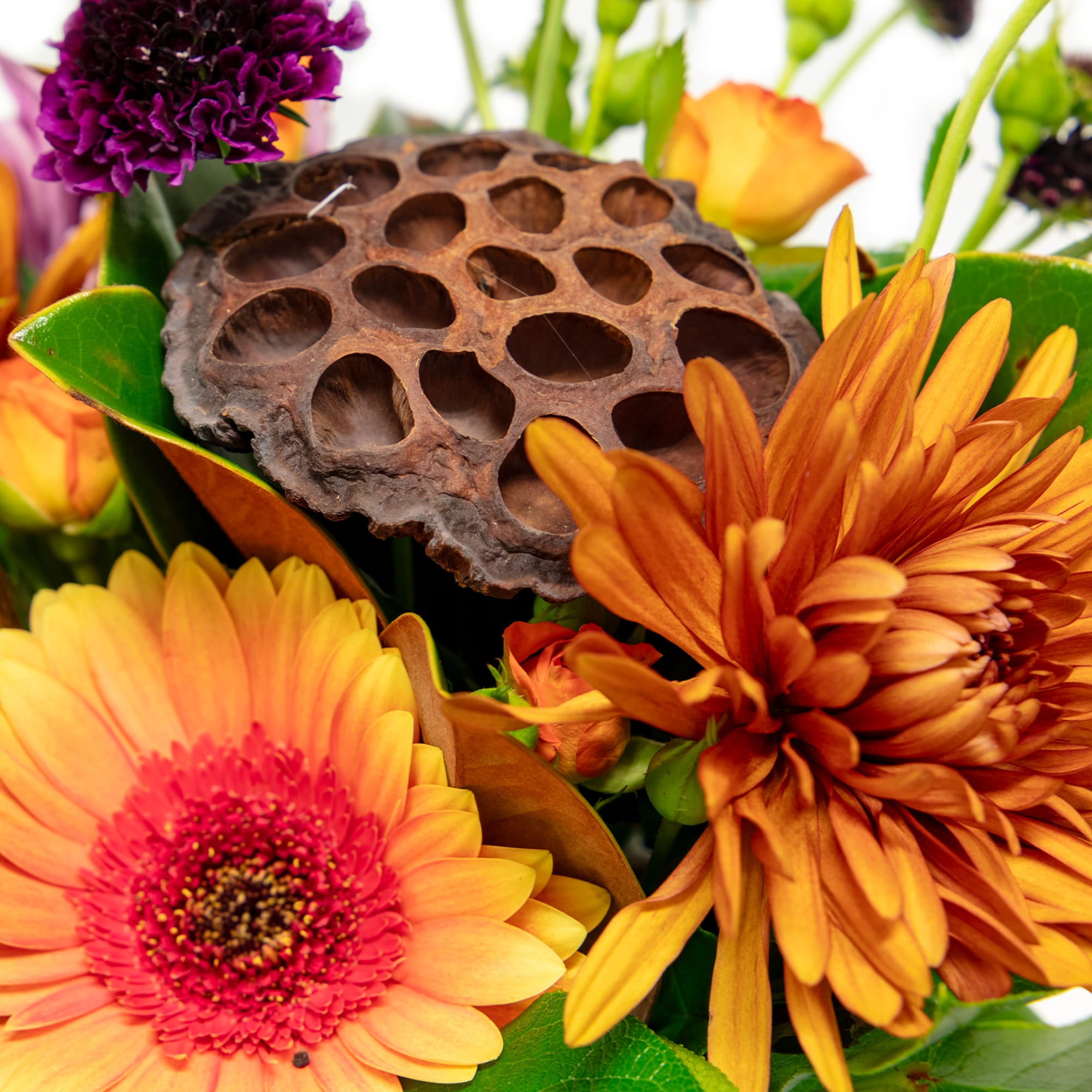 Elevate your autumn decor with &quot;Auburn Lotus,&quot; a captivating floral arrangement that