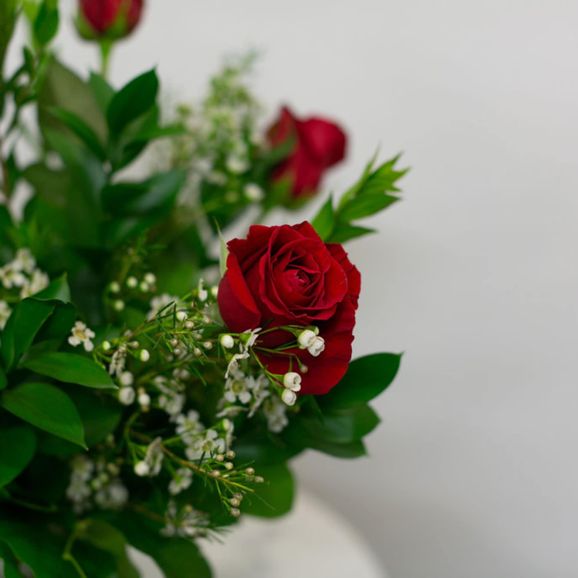 6 Red Roses arranged in with greenery and filler in a simple
