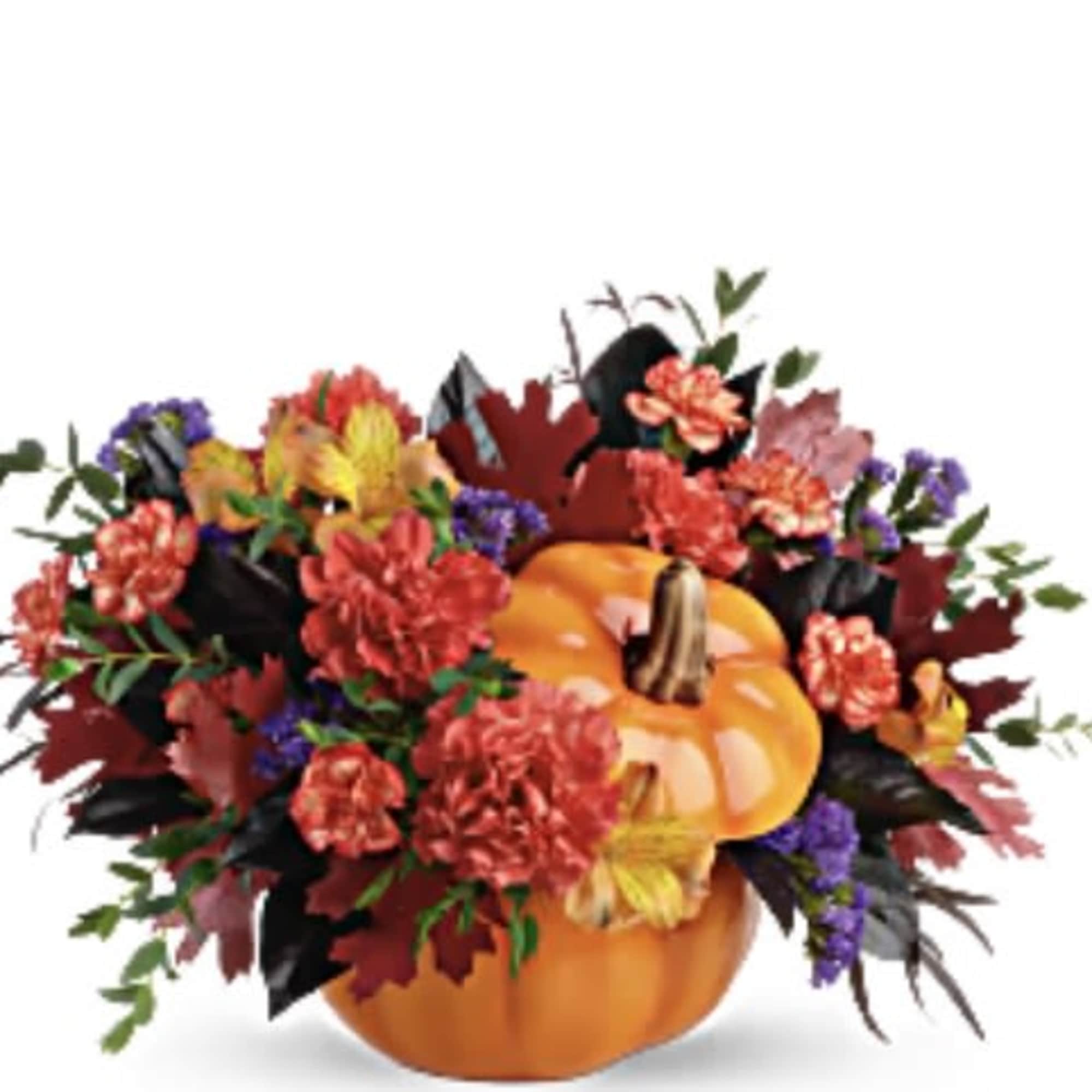 Deluxe pumking in different color of container 