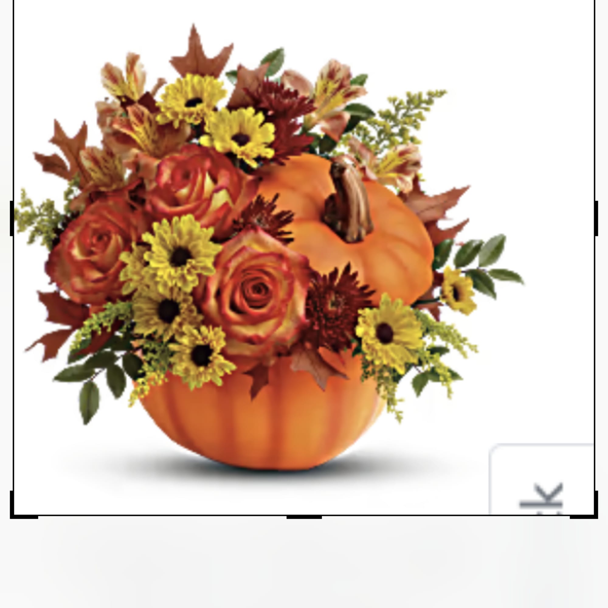 Deluxe pumking in different color of container 