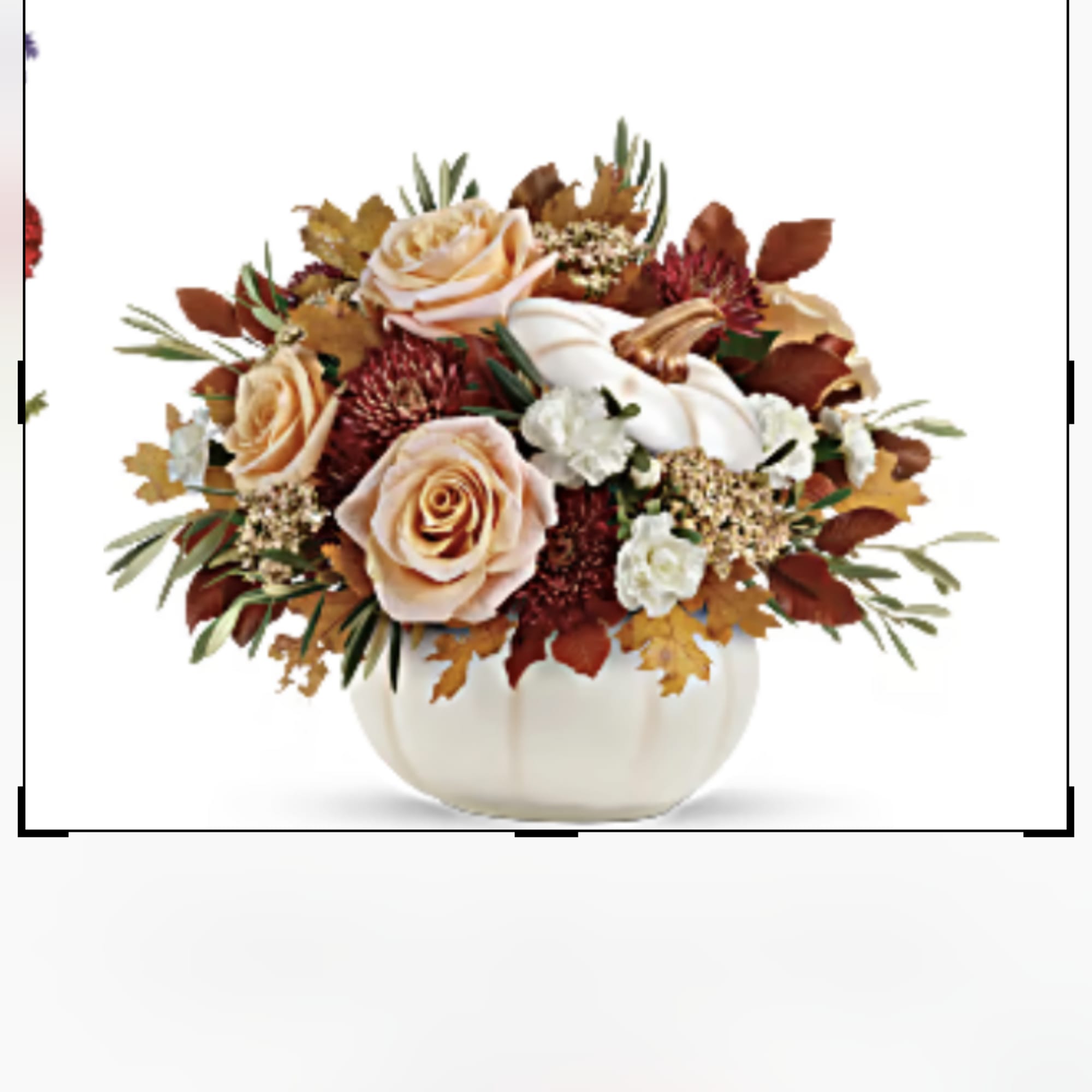 Deluxe pumking in different color of container 