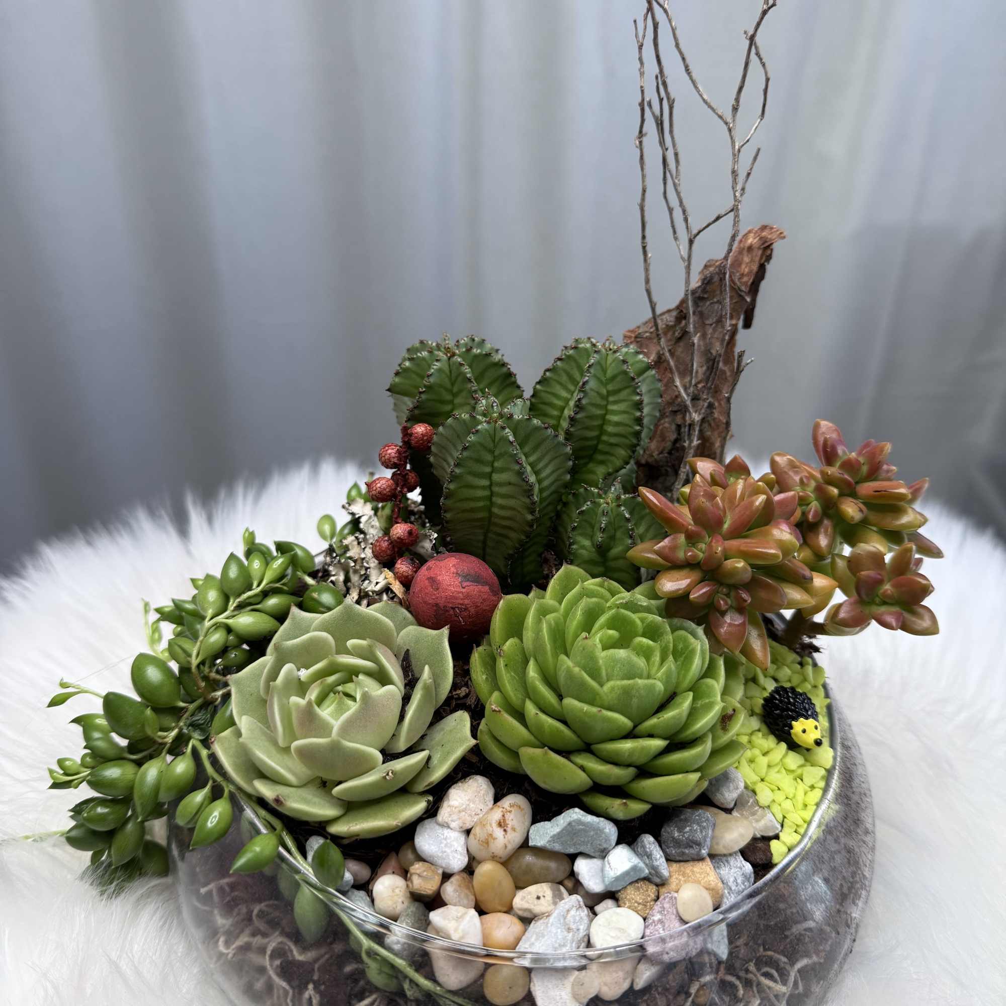 A charming succulent arrangement designed in a clear glass bowl, featuring a