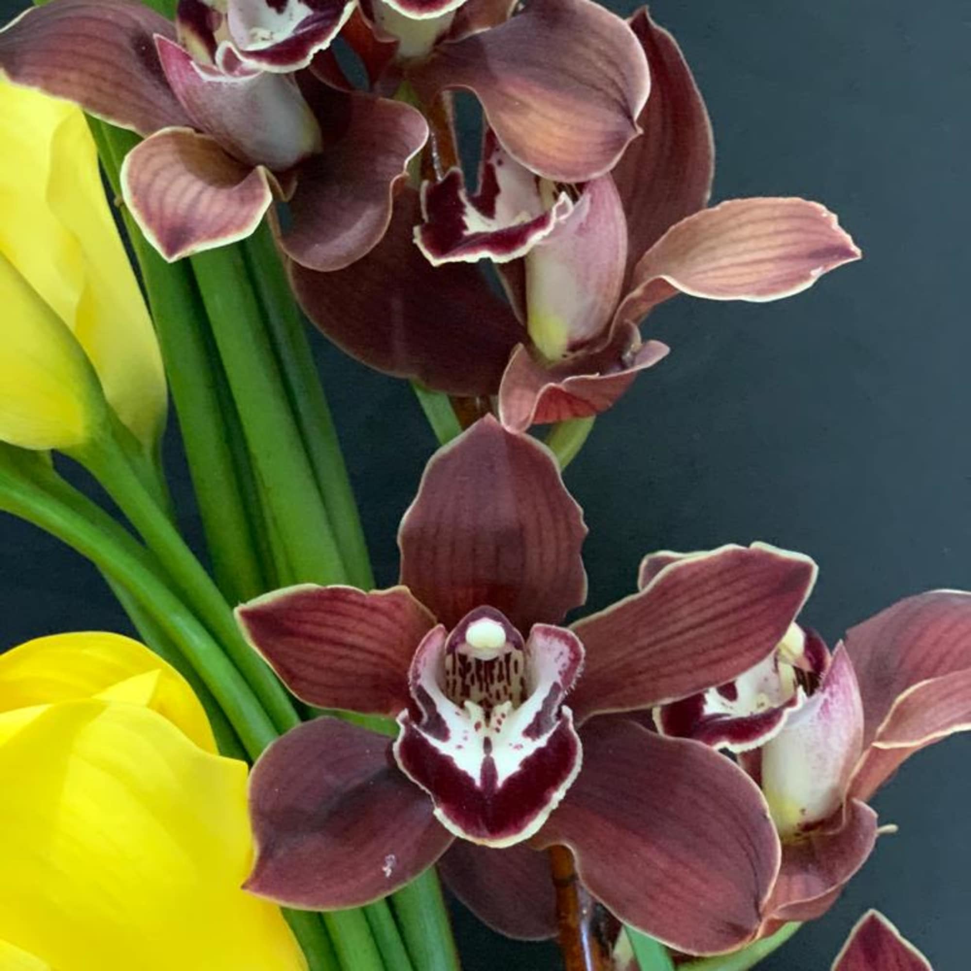 Elegant floral arrangement featuring callas, ranunculus, and cymbidium orchids. A stunning blend