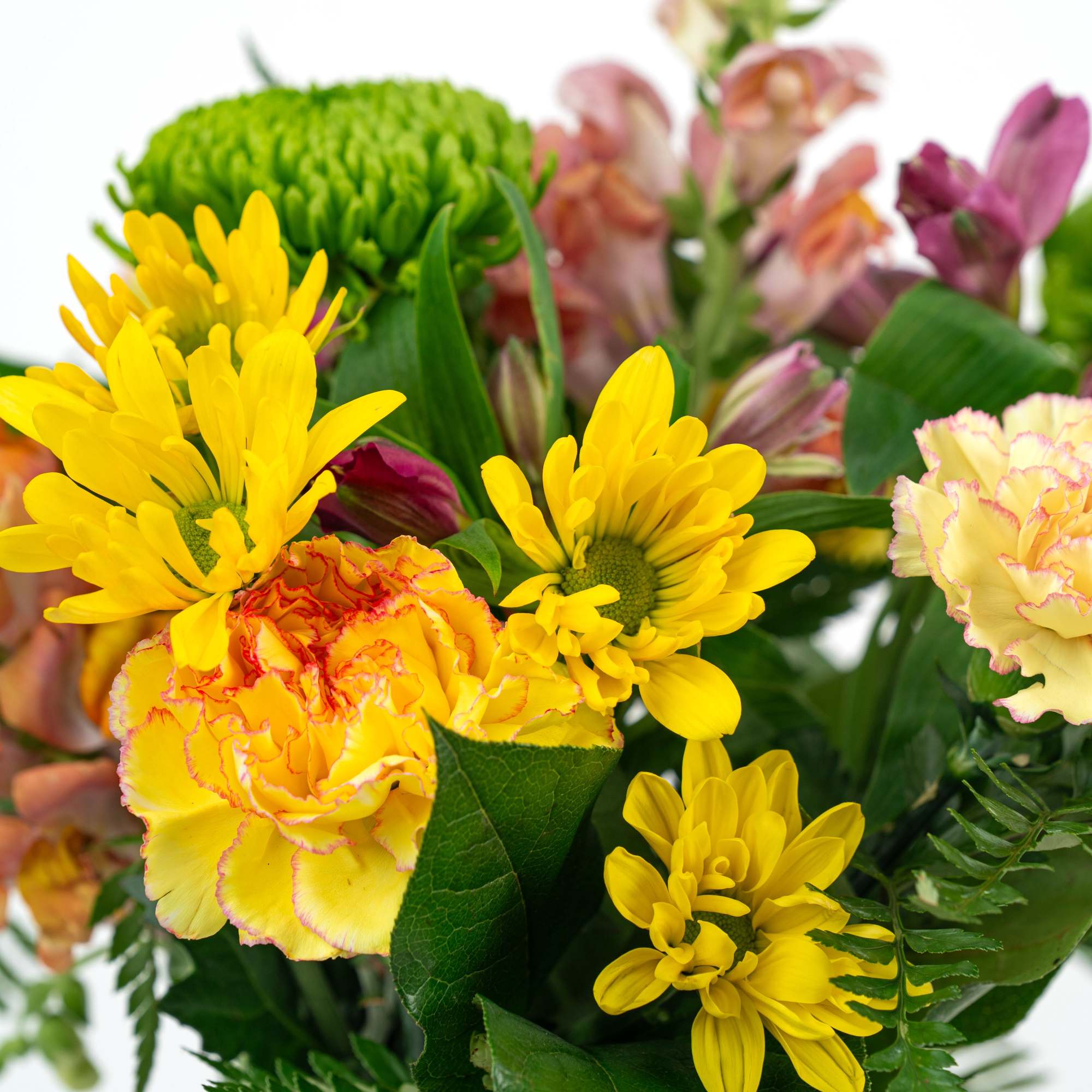 Let our floral design team send birthday wishes with a color and