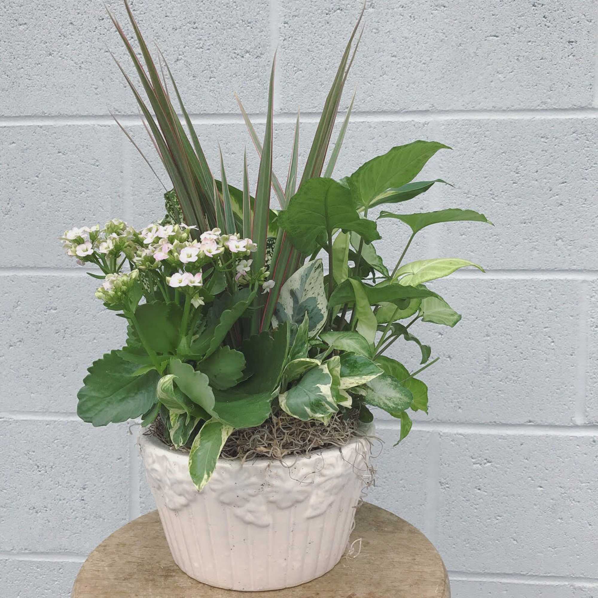 This ceramic pot filled with living plants will also carry comfort and This ceramic pot filled with living plants will also carry comfort and