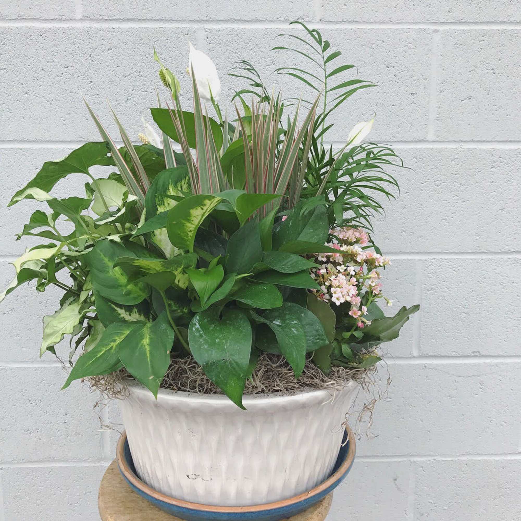This ceramic pot filled with living plants will also carry comfort and This ceramic pot filled with living plants will also carry comfort and