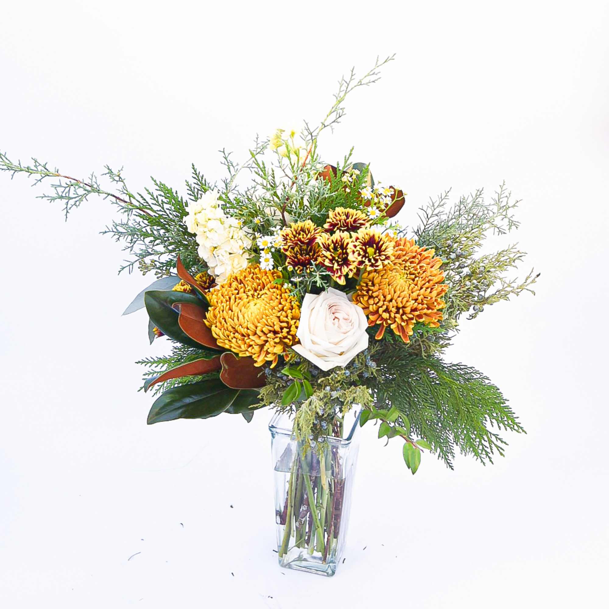 Nature lovers know the peace that comes with a walk in the