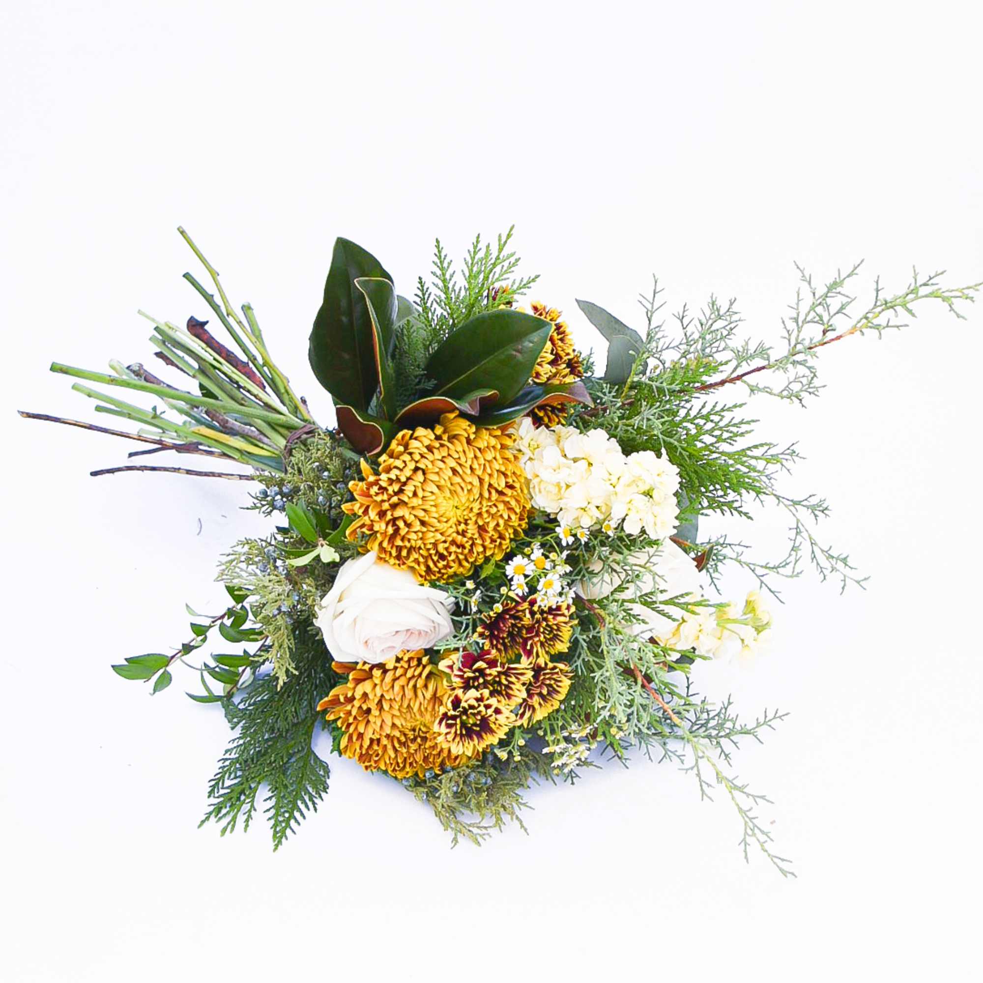 Nature lovers know the peace that comes with a walk in the