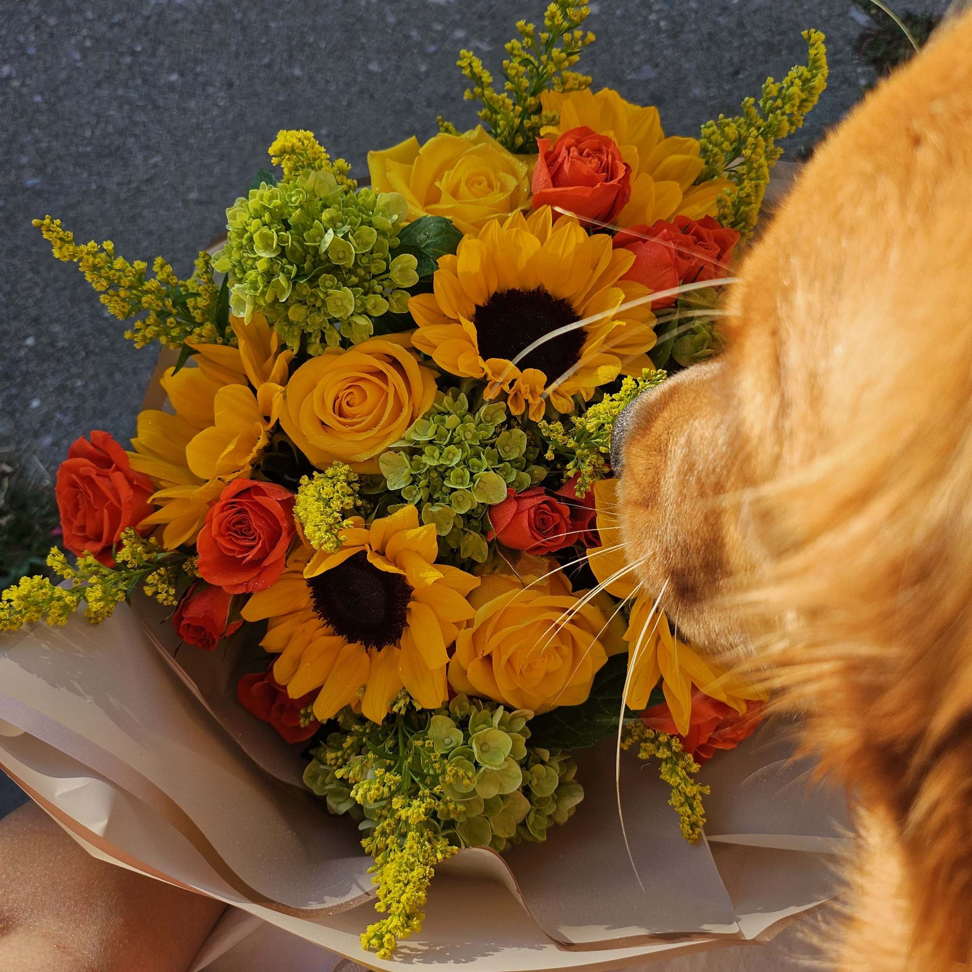 Sunflowers, hydrangeas, roses...
