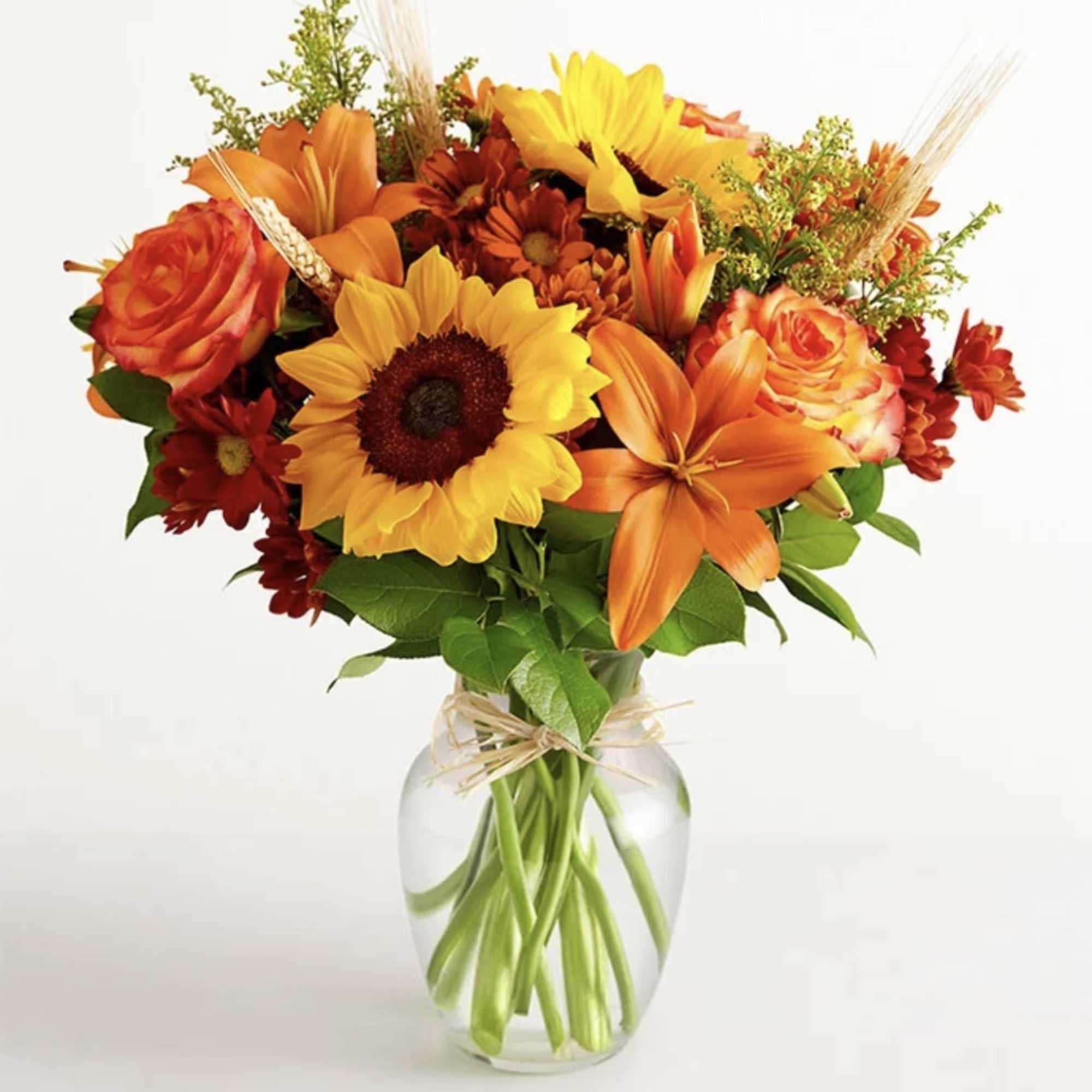 Inspired by the colorful charm of the European countryside, our best-selling autumn