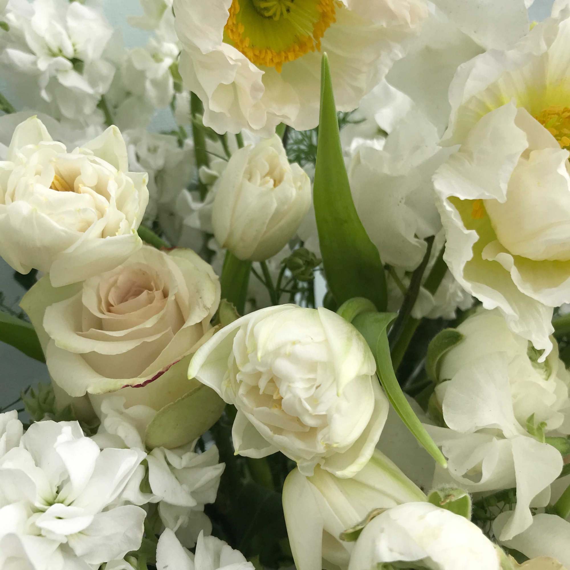 Named after the Danish heroine, author and storyteller Karen Blien (Isak Dinesen Named after the Danish heroine, author and storyteller Karen Blien (Isak Dinesen