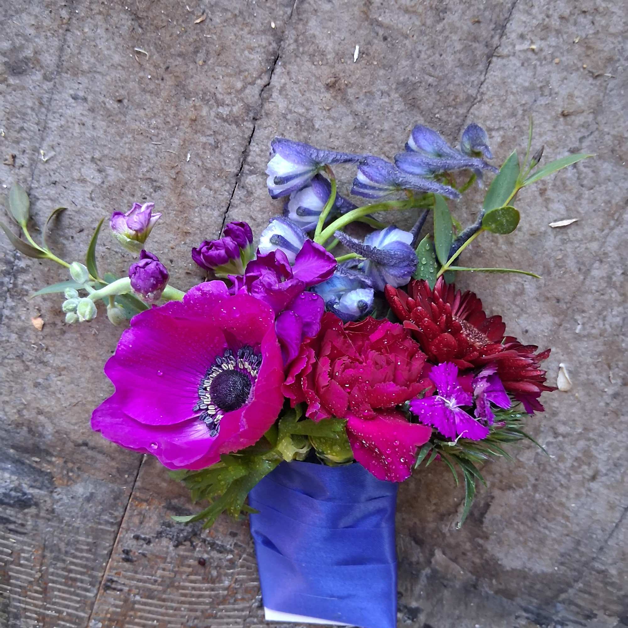 Bright and beautiful Jules colors of hot pink, burgundy and navy blue