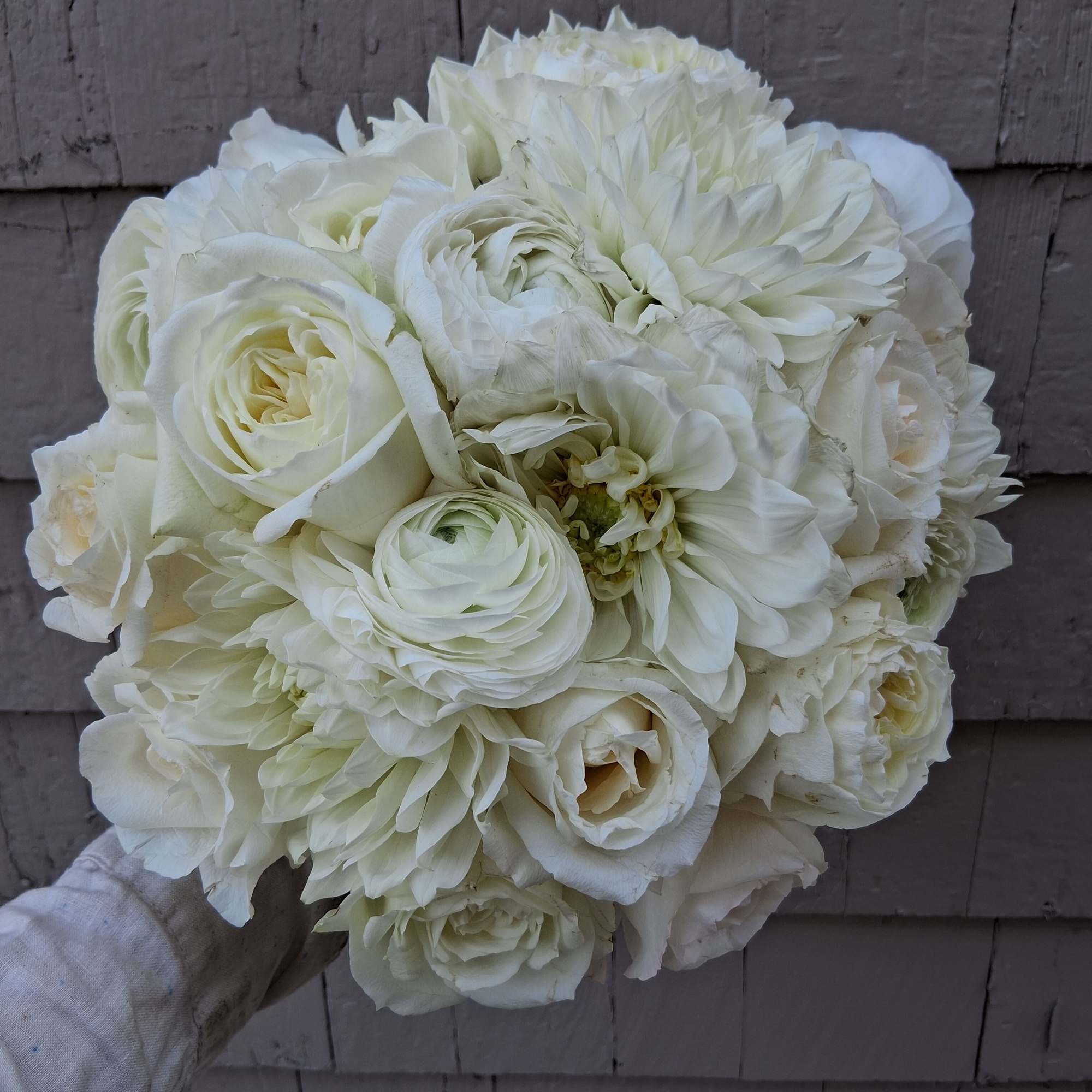 Gorgeous pure white classical round bridal bouquet of standard and garden roses